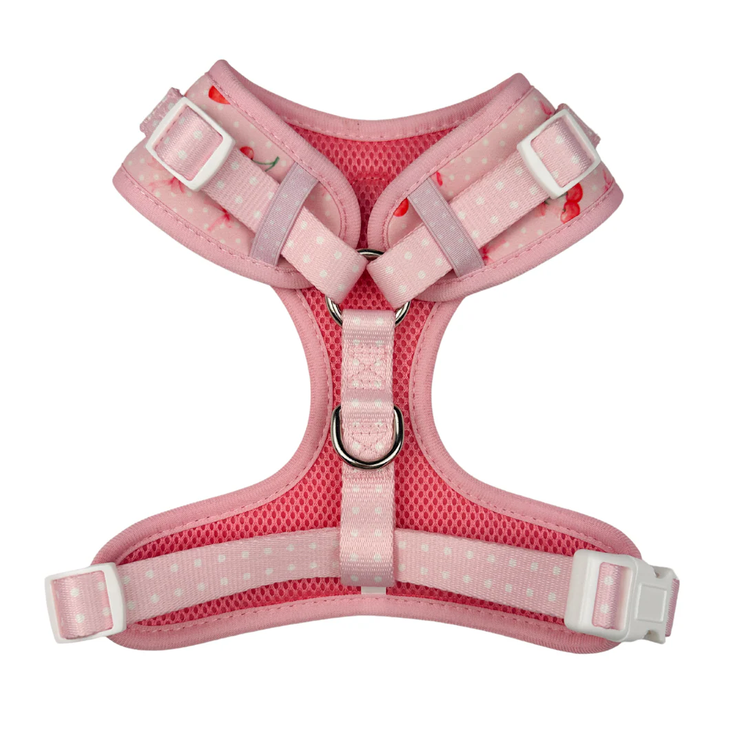 Sweet Chérie Adjustable Harness - Image 2