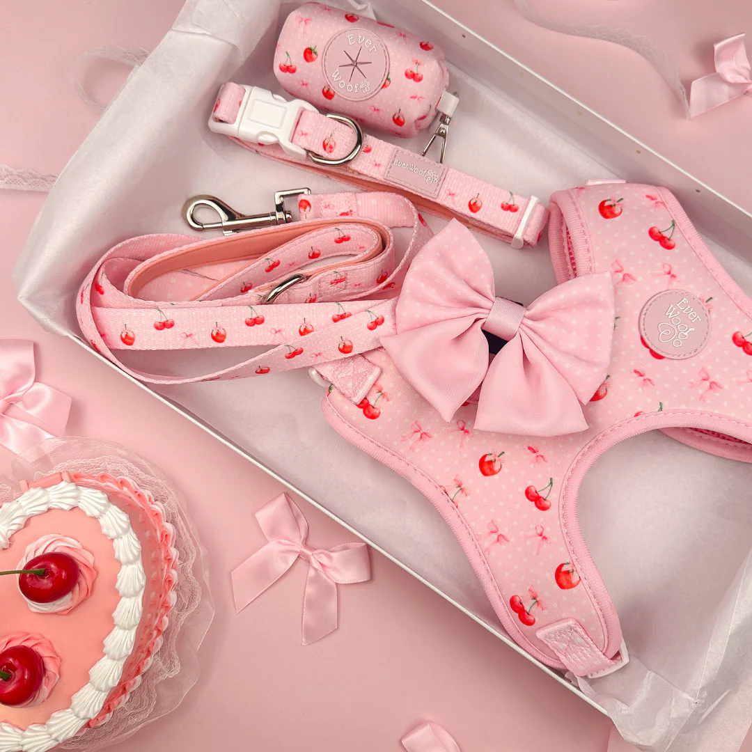 Sweet Chérie Adjustable Harness - Image 3