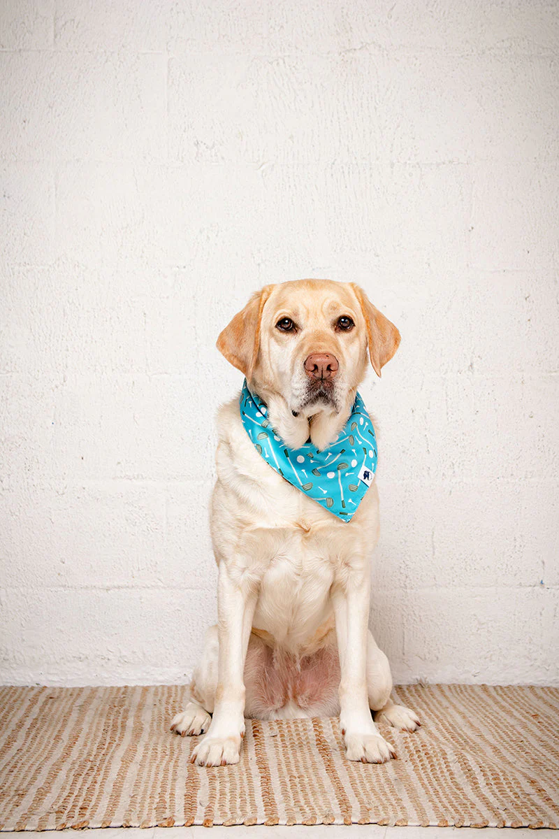 Tee Time Dog Bandana - Image 4