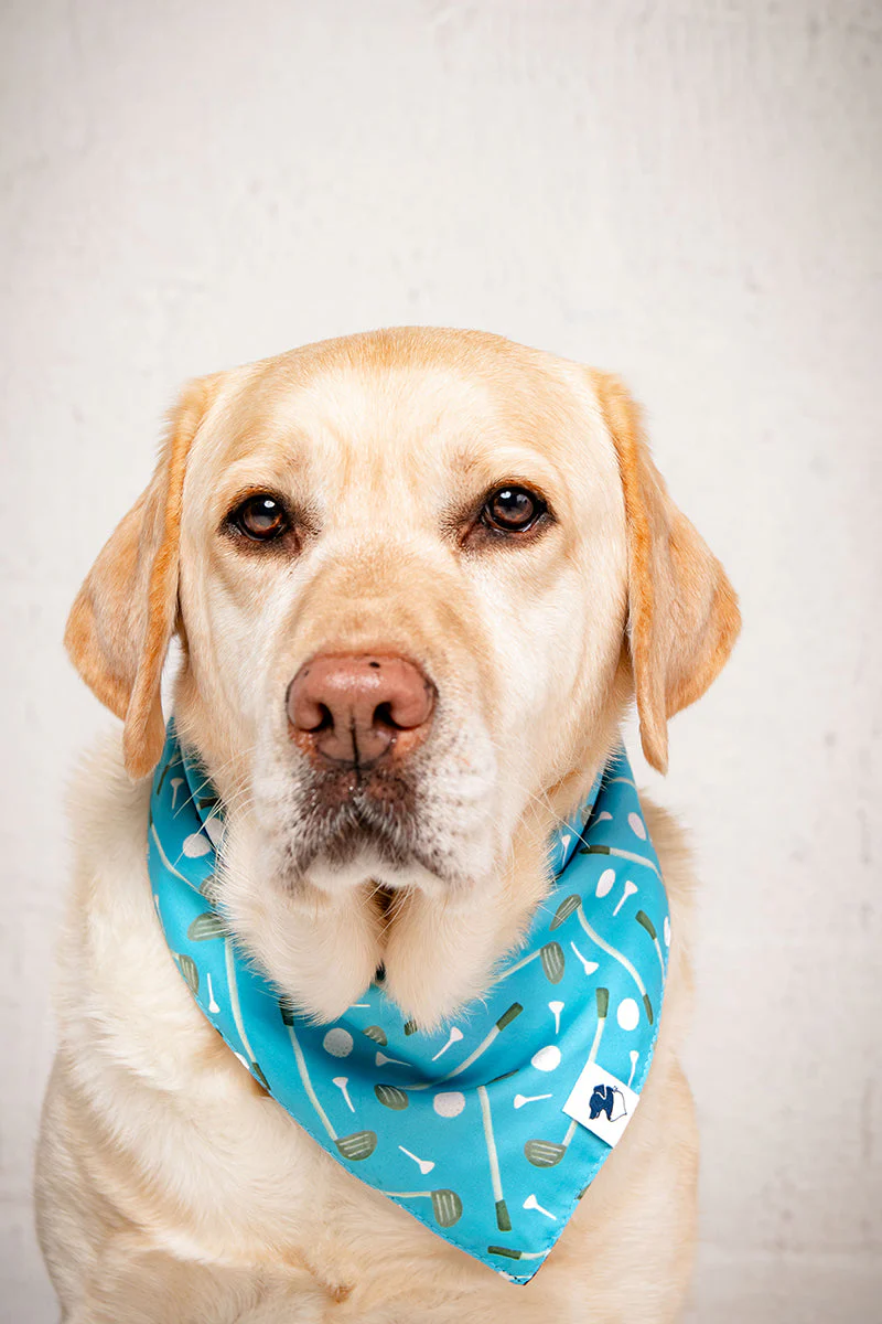 Tee Time Dog Bandana - Image 5