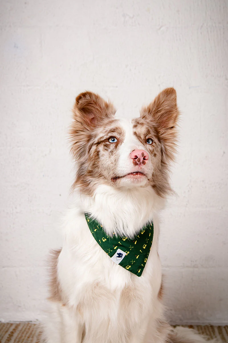 Tee Time Dog Bandana - Image 6