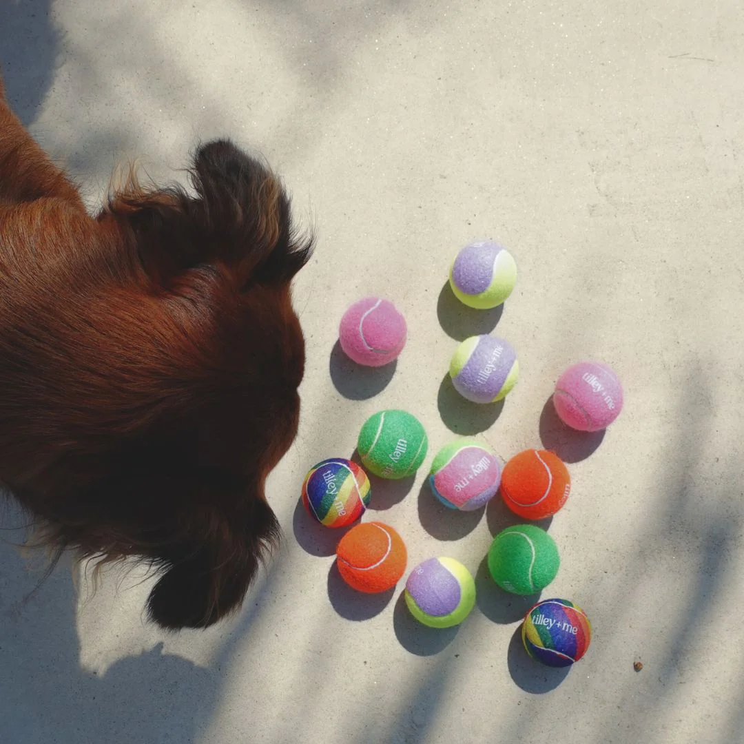 Tilley + Me Tennis Ball for Dogs - Image 11