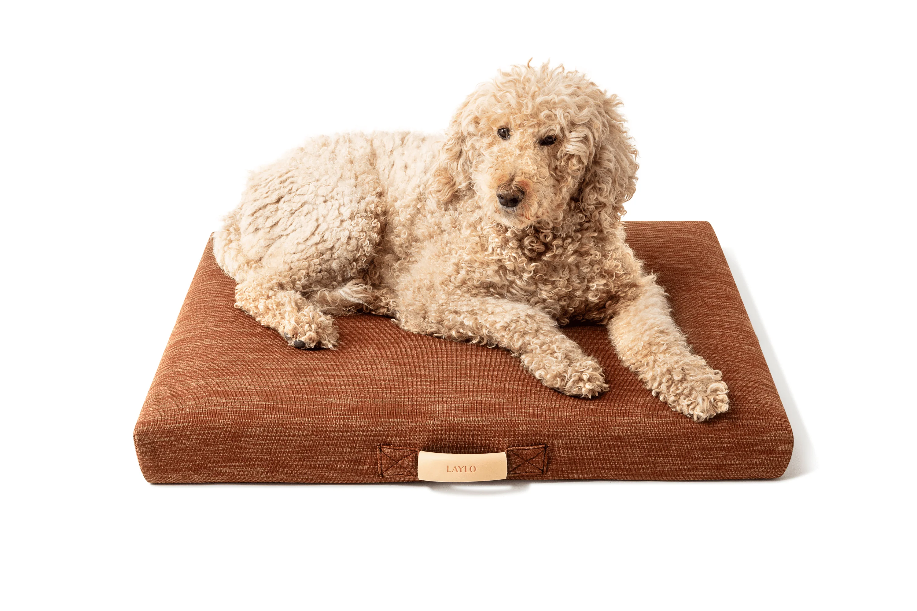 Terra | Modern Dog Bed or Bed Cover - Image 2