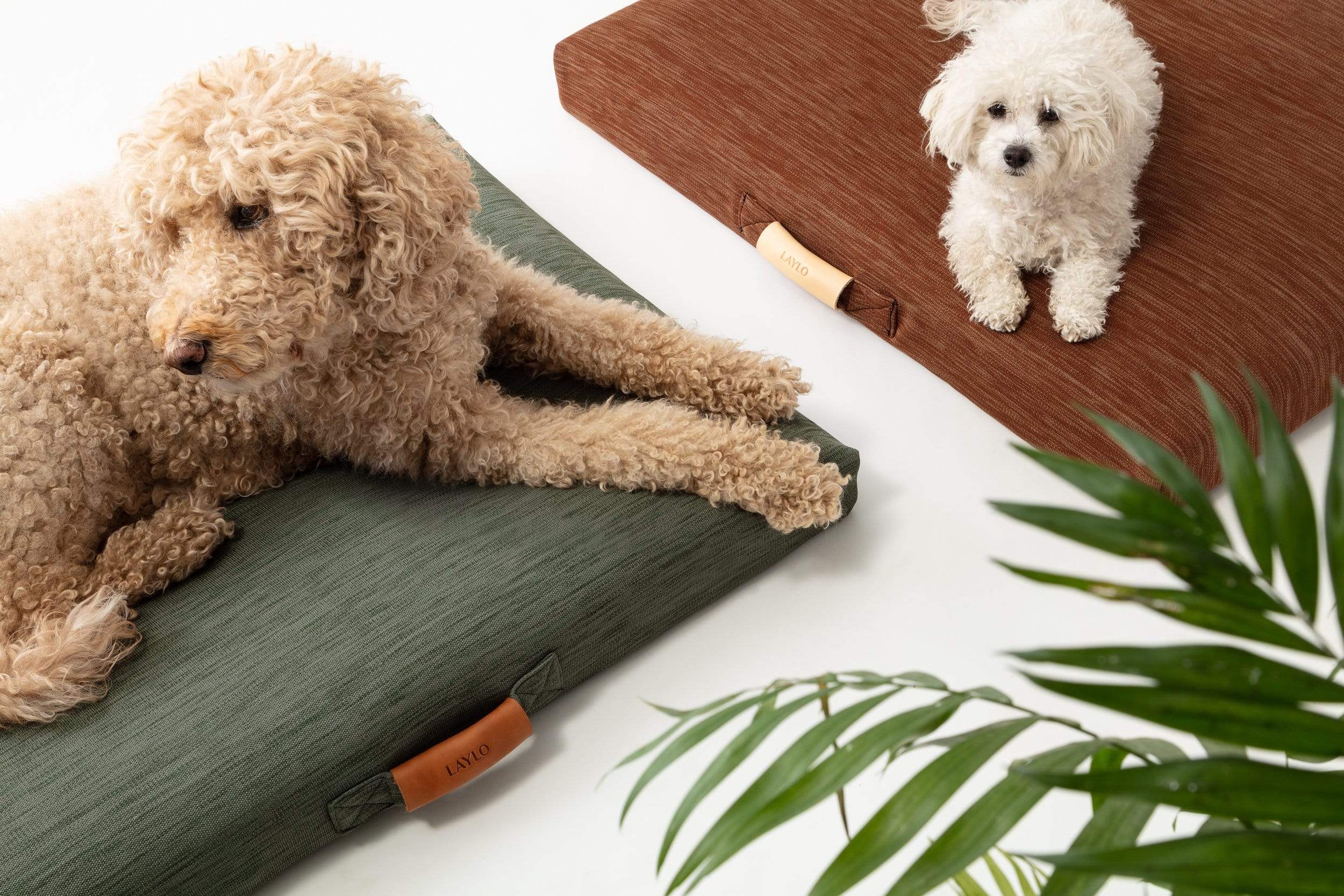 Terra | Modern Dog Bed or Bed Cover - Image 4