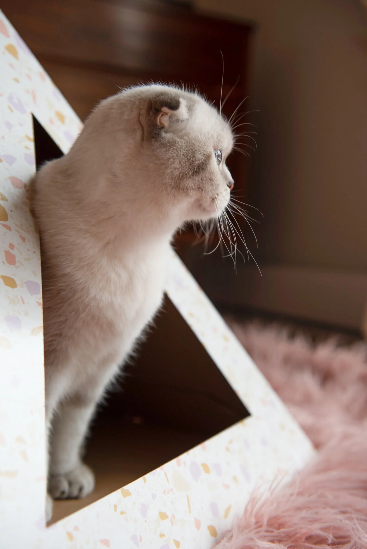 'Terrazzo' Cardboard Cat Pyramid - Image 2