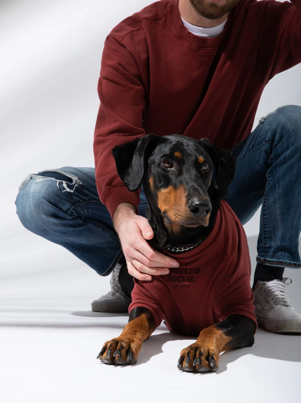 Terry Pullover - Image 5