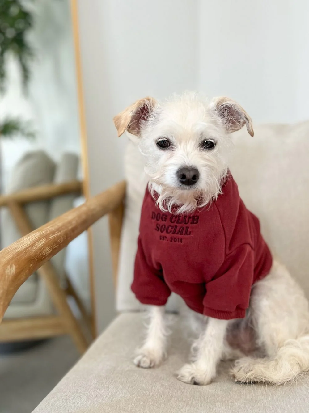 Terry Pullover - Image 6