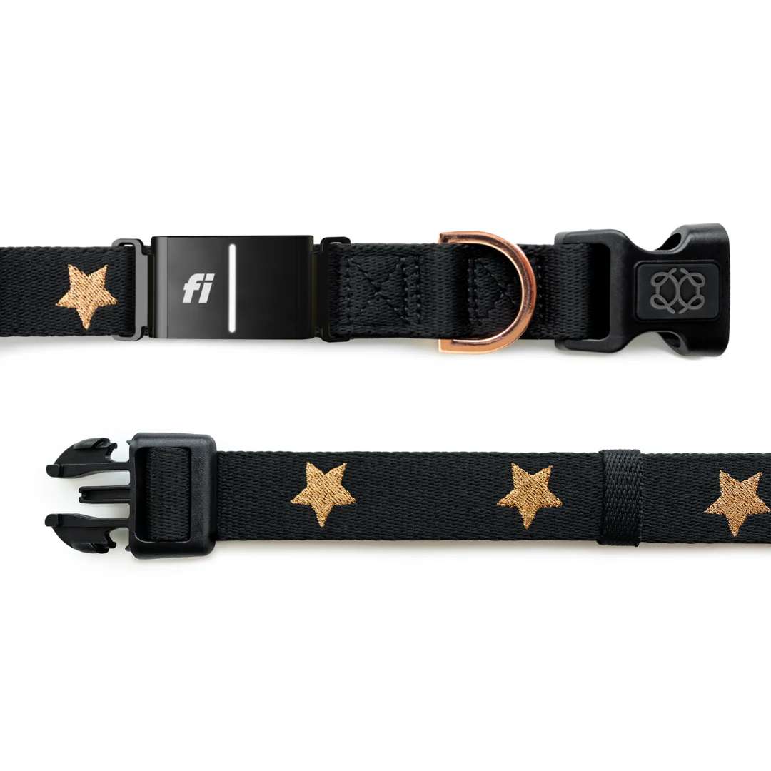 The DOGISTRY x Fi Rockstar 3+ Collar Band - Image 4