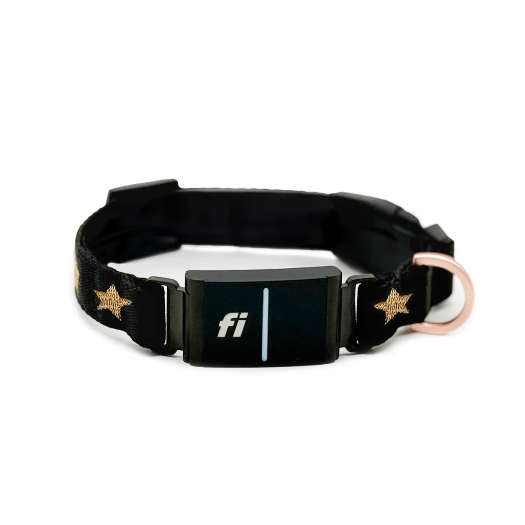 The DOGISTRY x Fi Rockstar 3+ Collar Band - Image 5