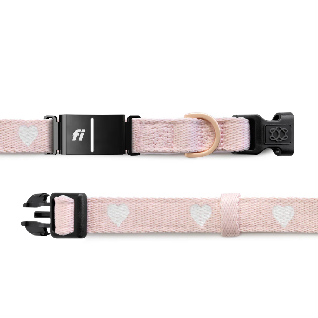The DOGISTRY x Fi Sweetheart 3+ Collar Band - Image 4