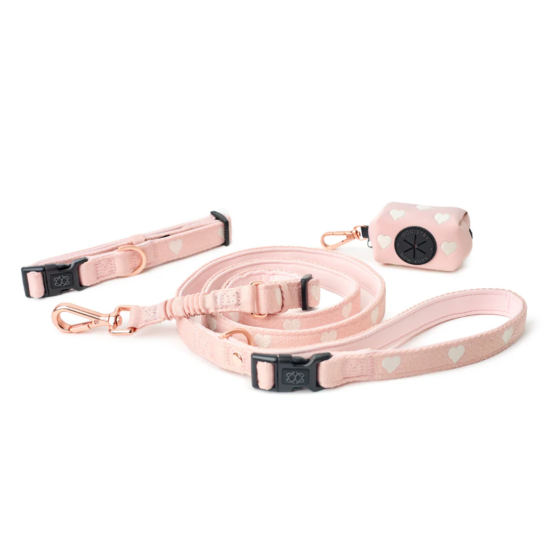 The DOGISTRY x Fi Sweetheart 3+ Collar Band - Image 5