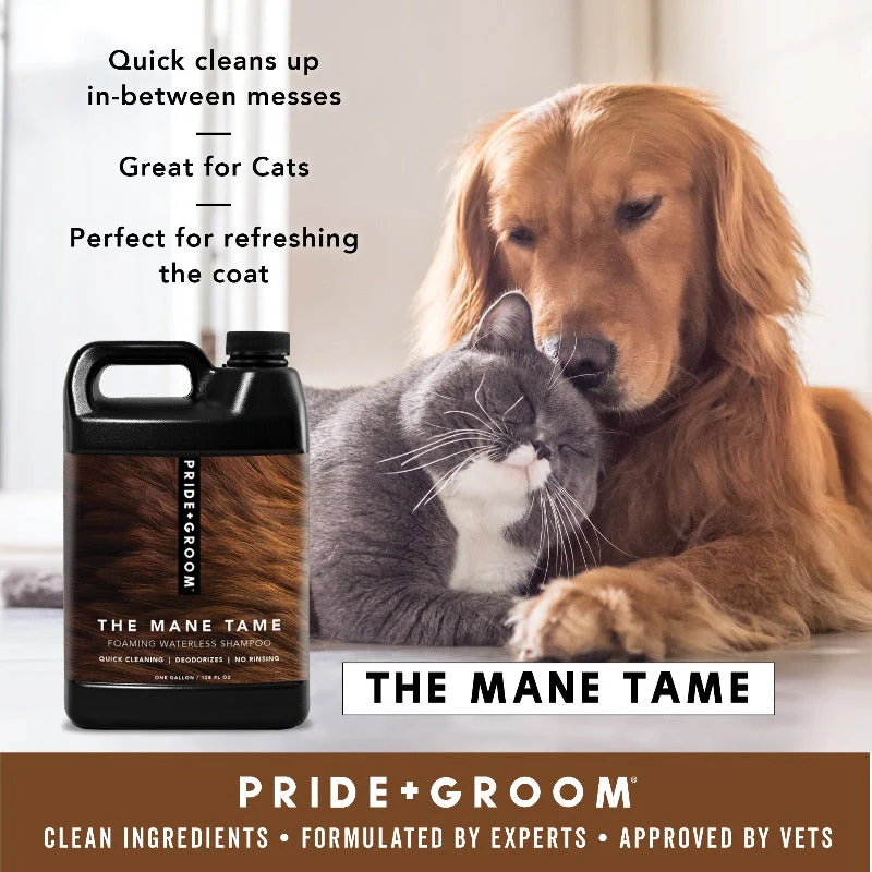 THE MANE TAME - Image 3