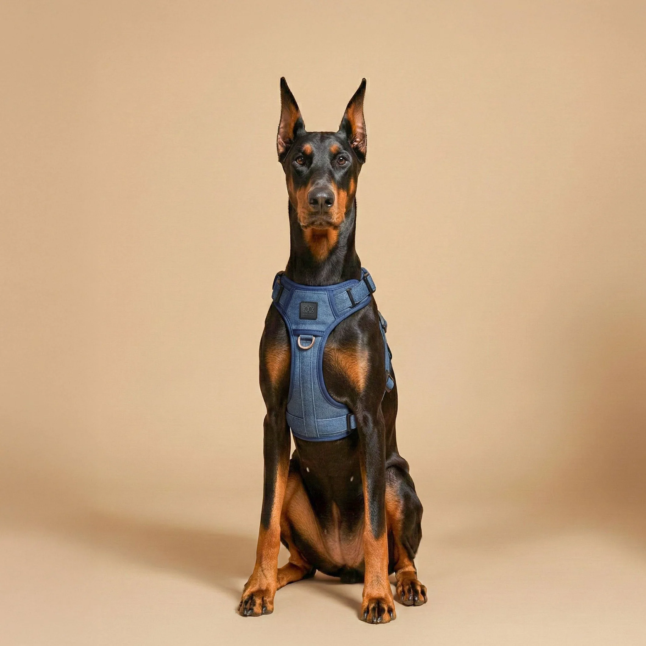 The NoMad Adjustable Luxe Harness - Denim - Image 3