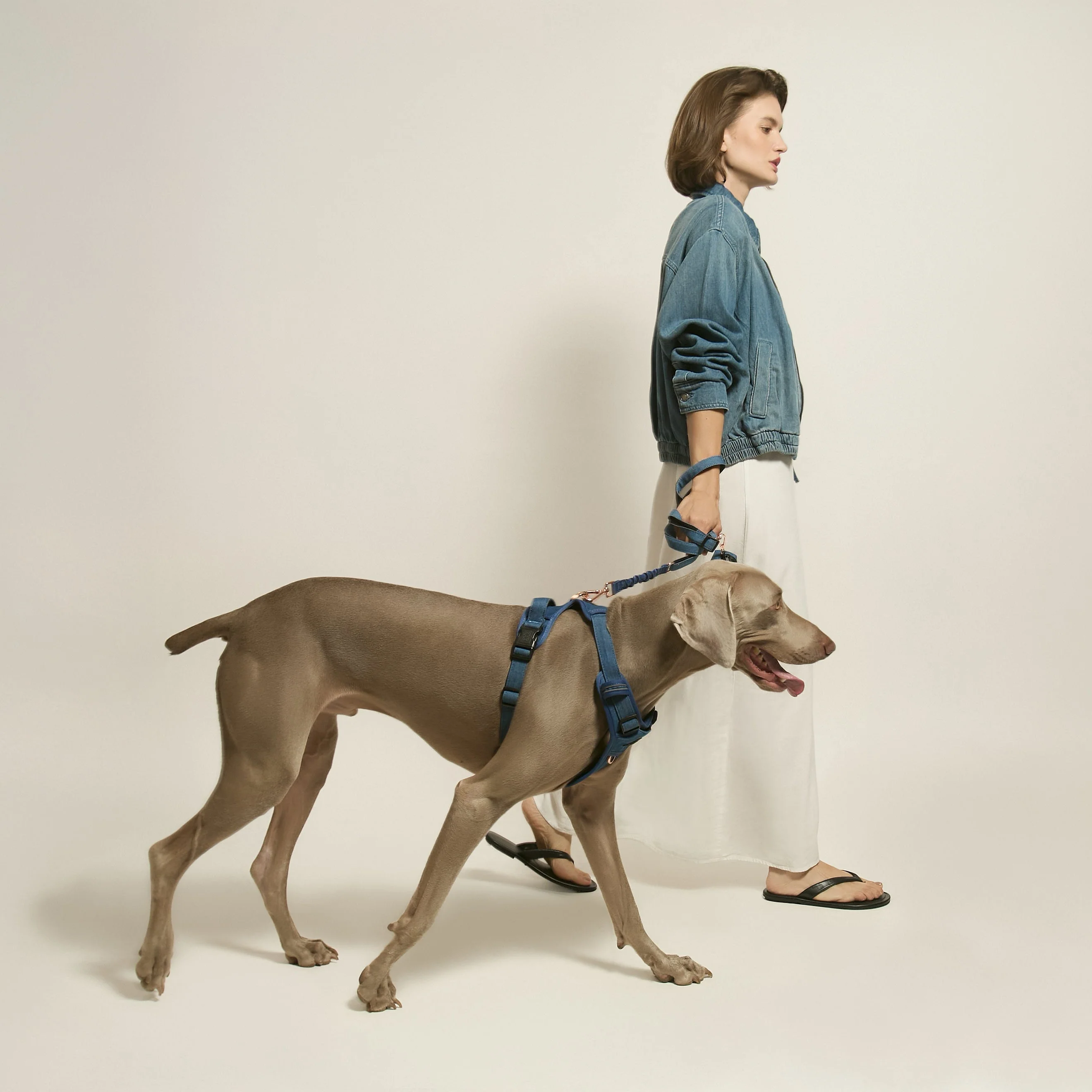 The NoMad Adjustable Luxe Harness - Denim - Image 5