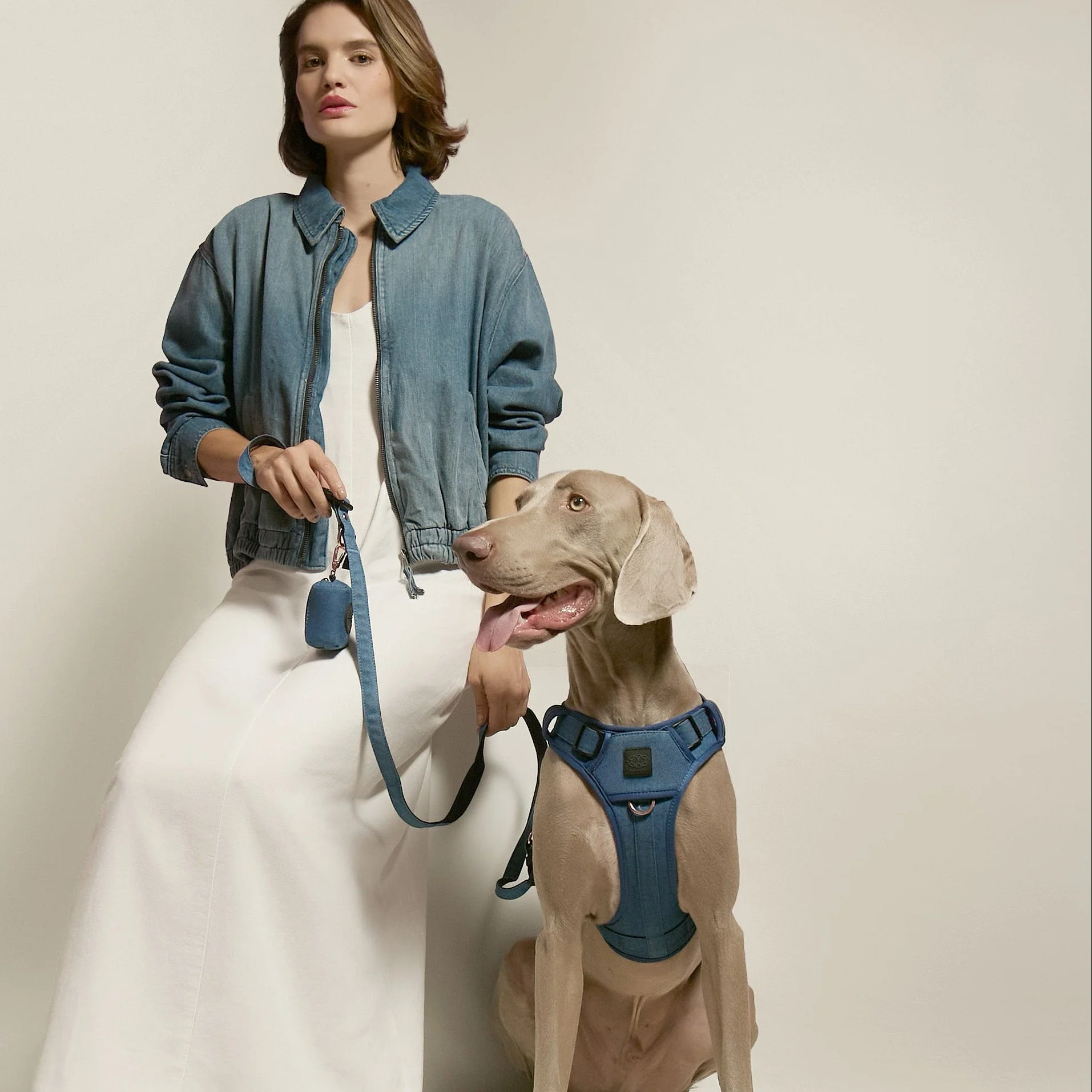 The NoMad Adjustable Luxe Harness - Denim - Image 6