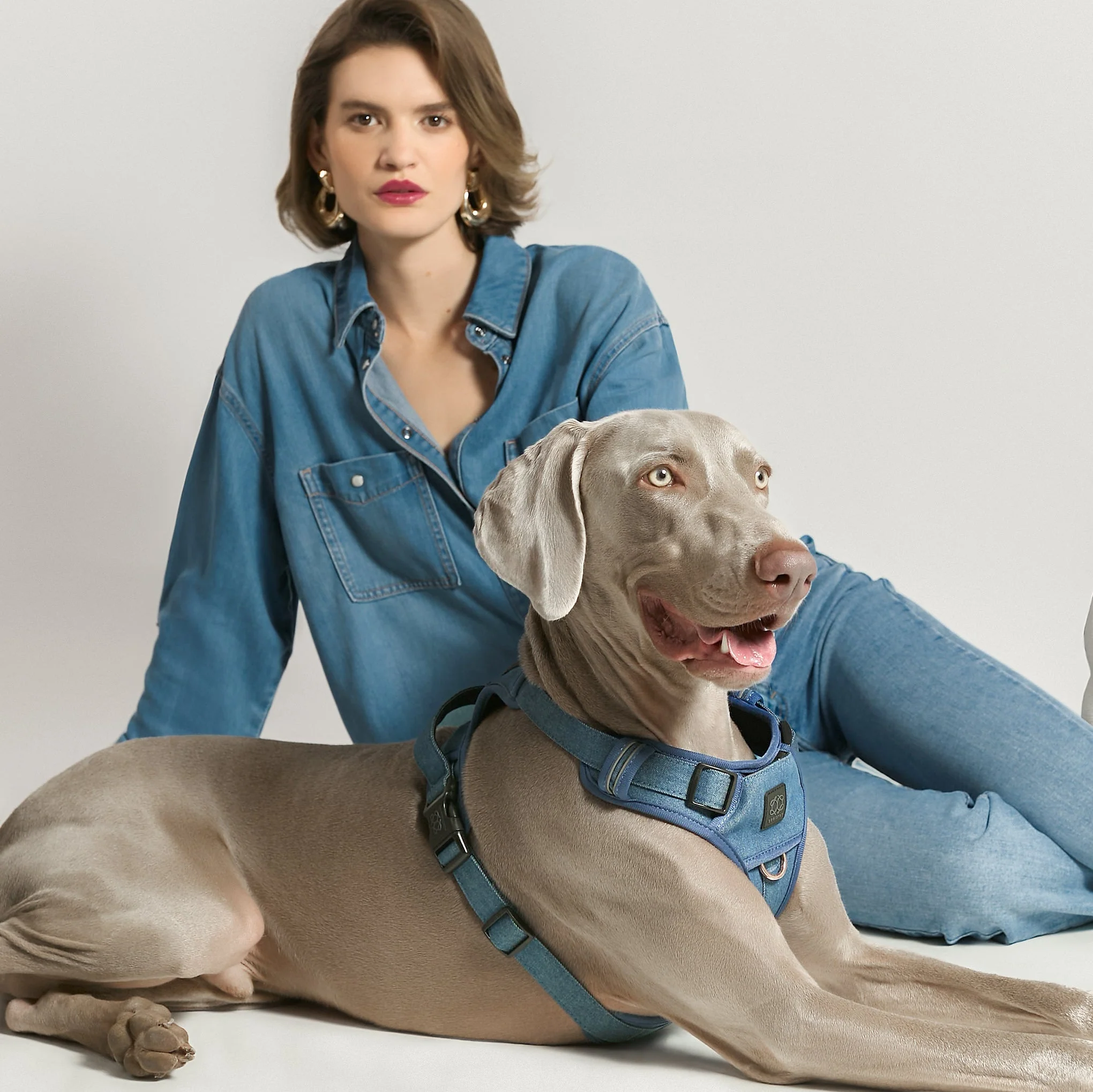The NoMad Adjustable Luxe Harness - Denim - Image 7