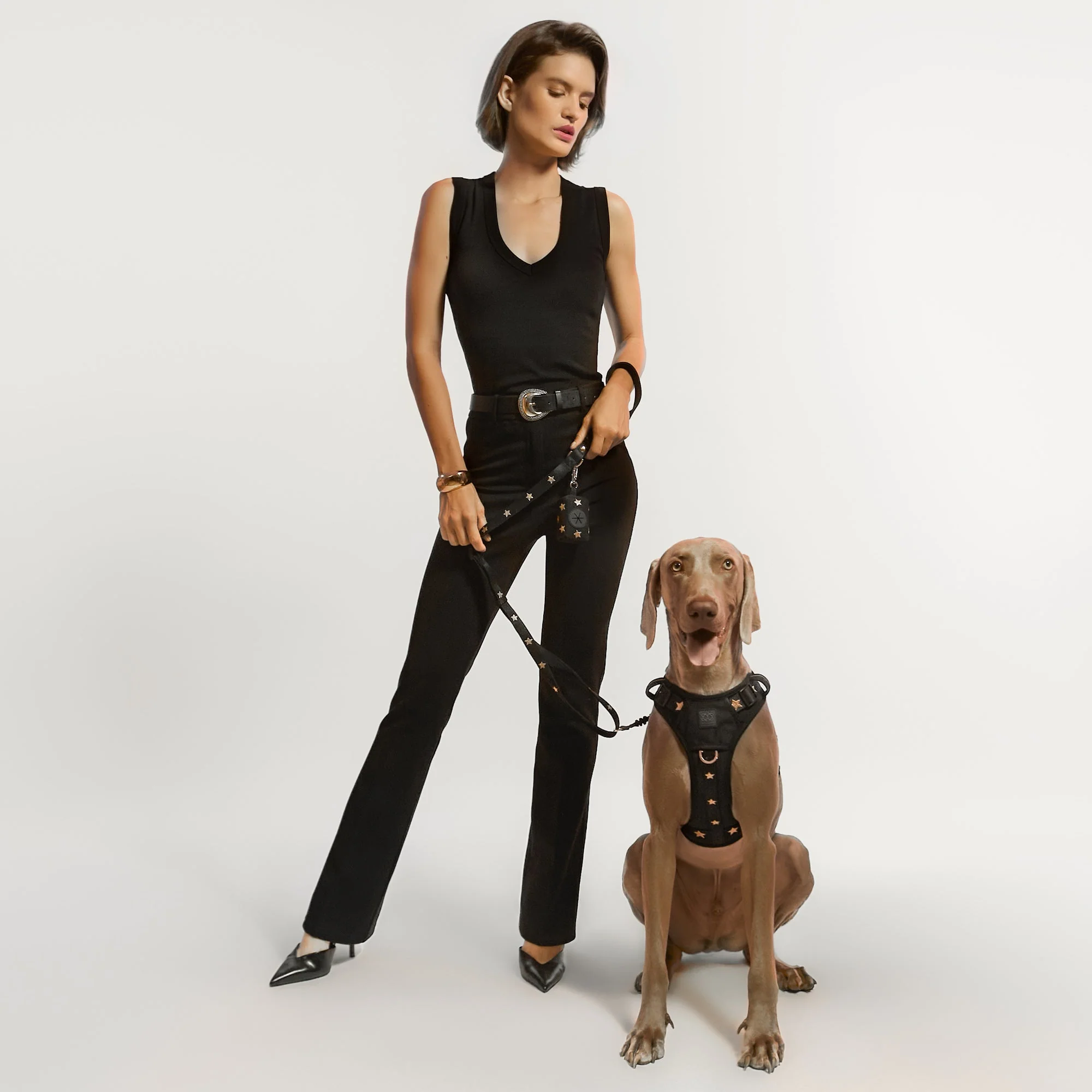 The NoMad Adjustable Luxe Harness - Rockstar - Image 4