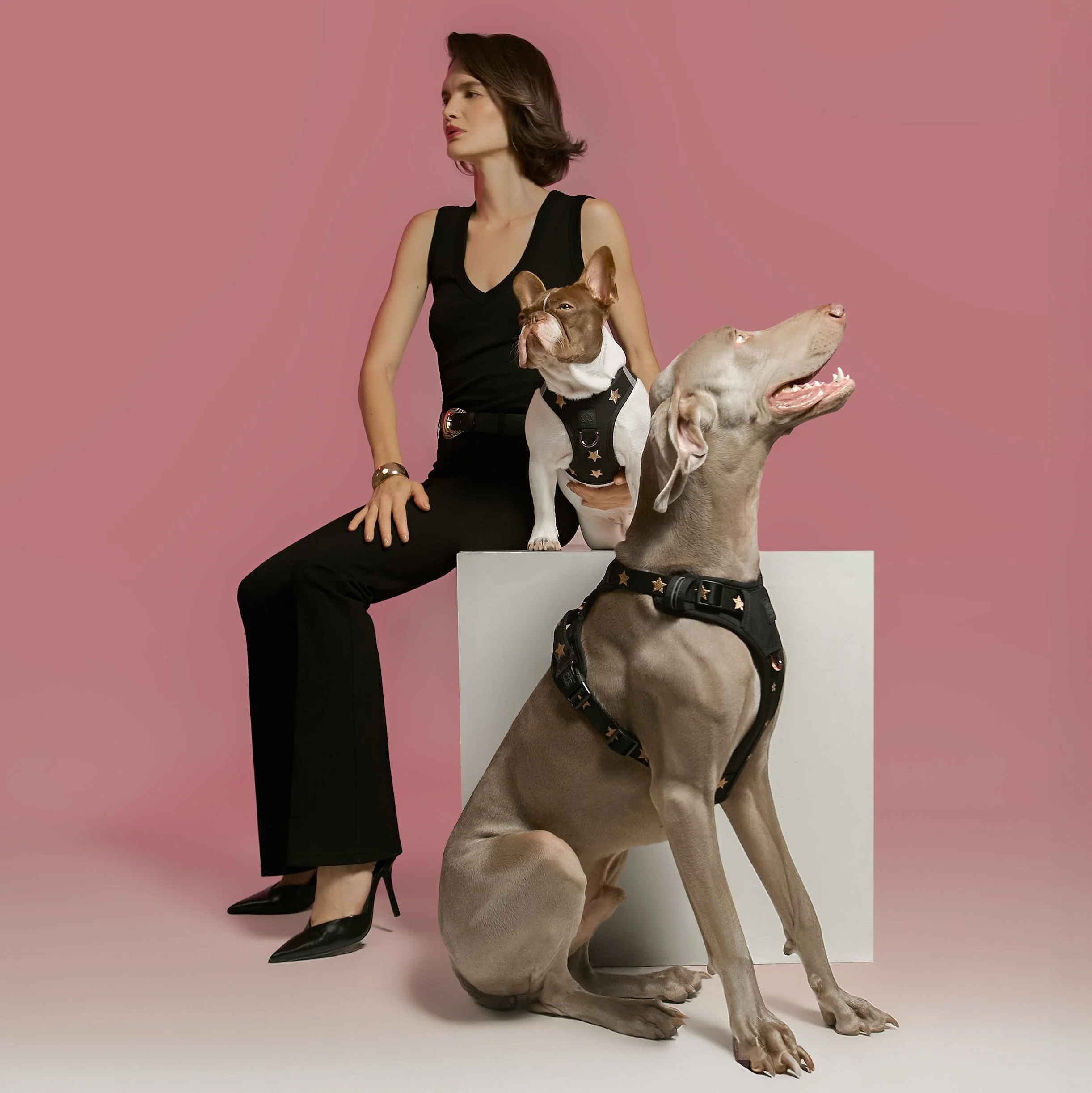 The NoMad Adjustable Luxe Harness - Rockstar - Image 5