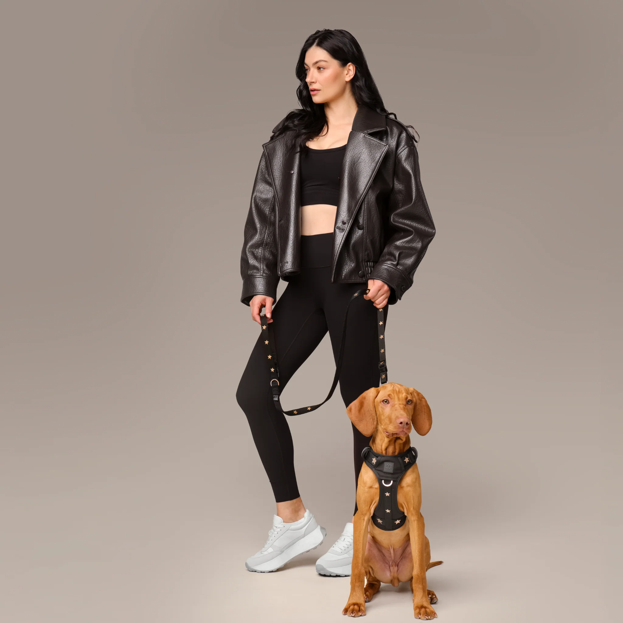 The NoMad Adjustable Luxe Harness - Rockstar - Image 7