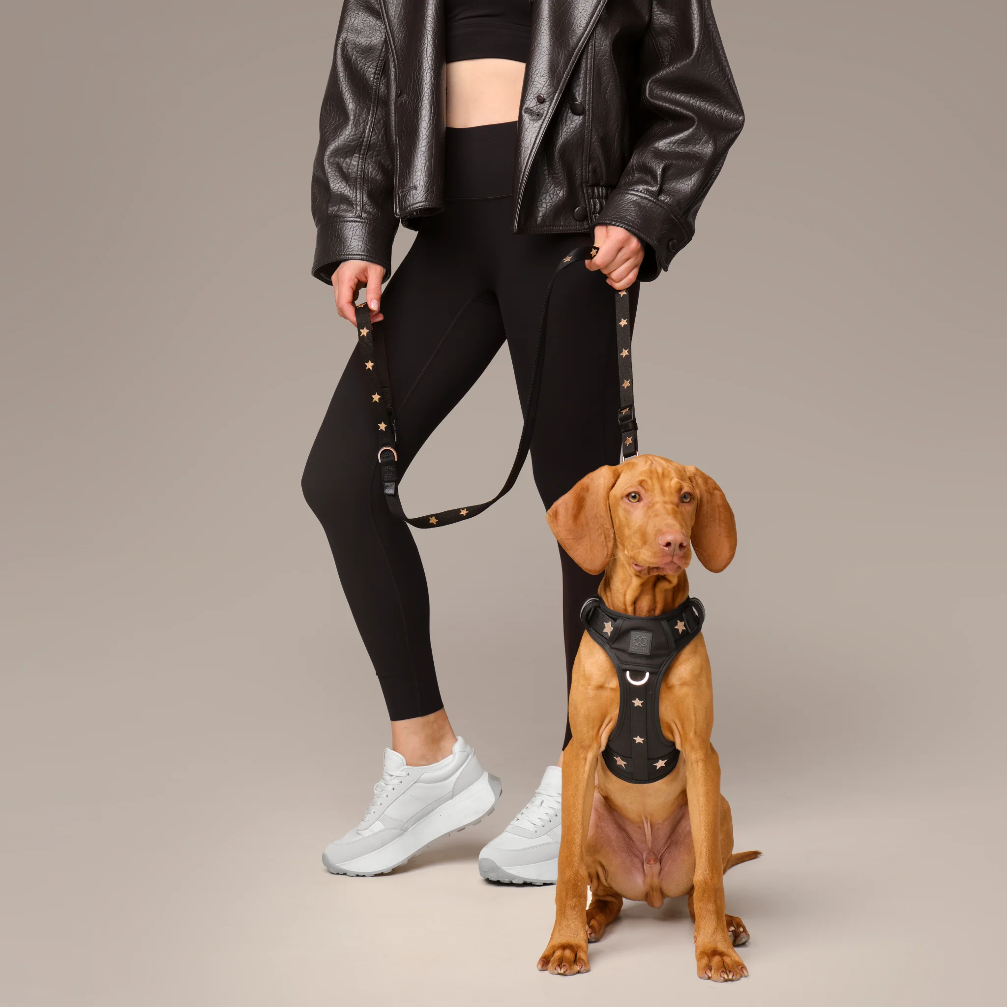 The NoMad Adjustable Luxe Harness - Rockstar - Image 9