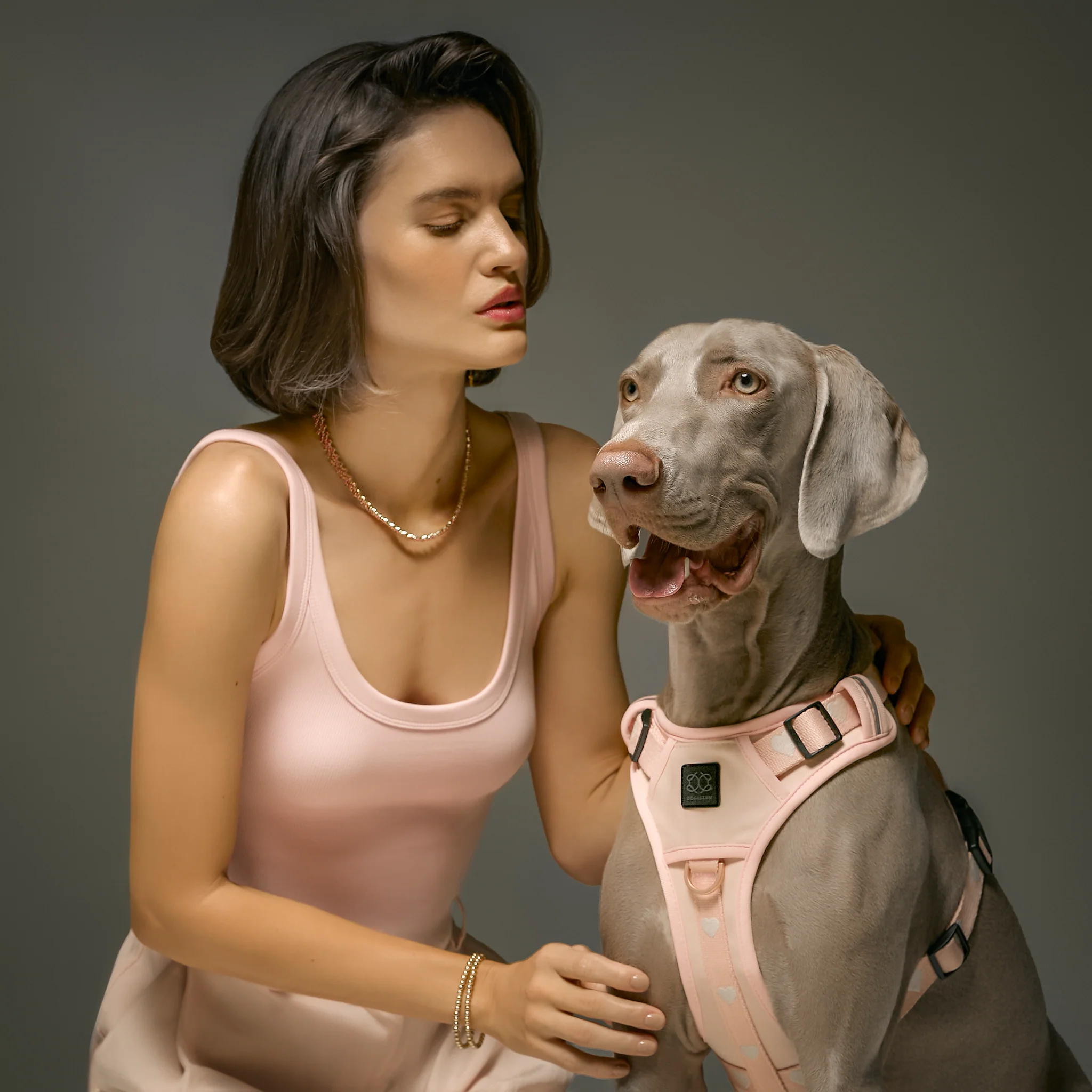The NoMad Adjustable Luxe Harness - Sweetheart - Image 2