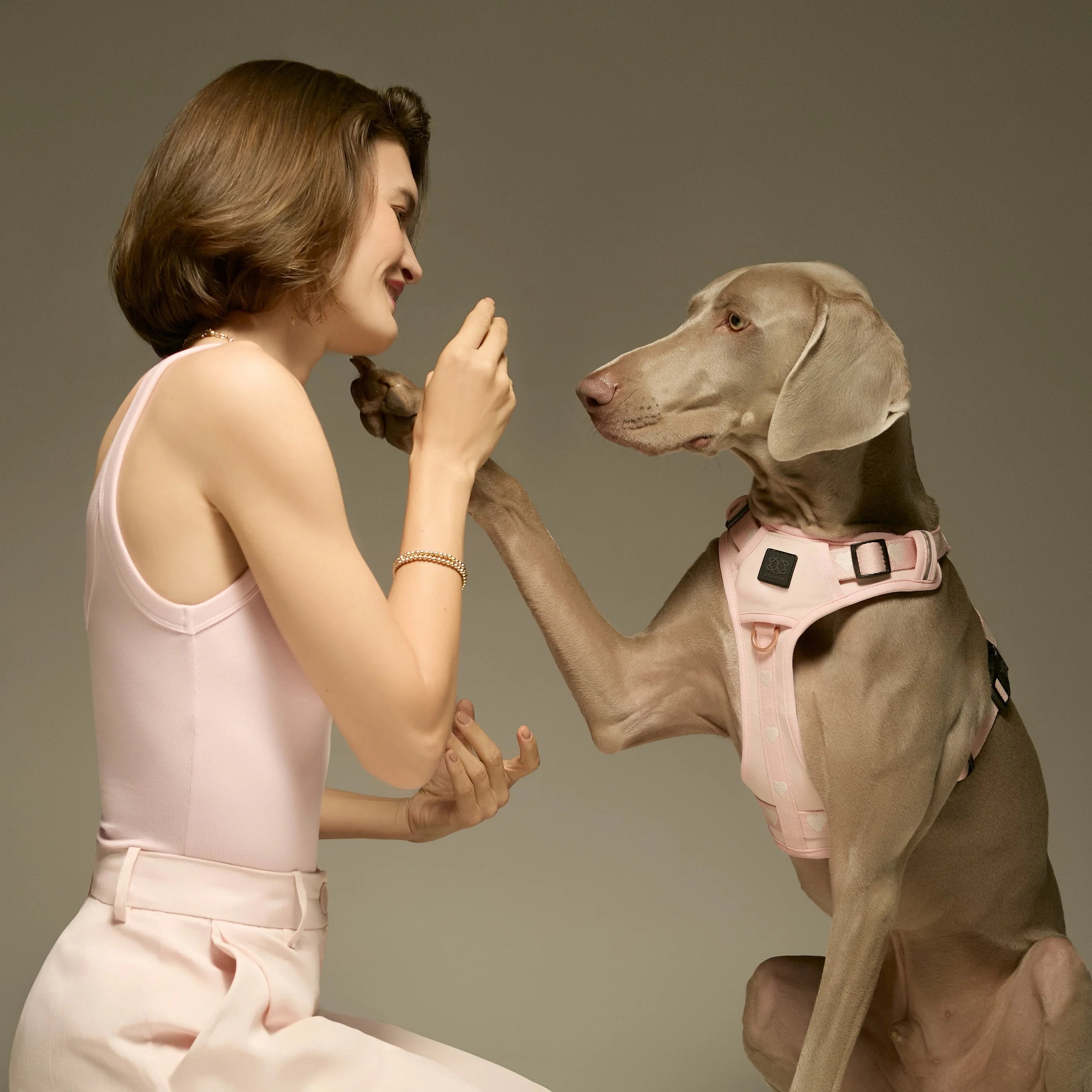 The NoMad Adjustable Luxe Harness - Sweetheart - Image 4
