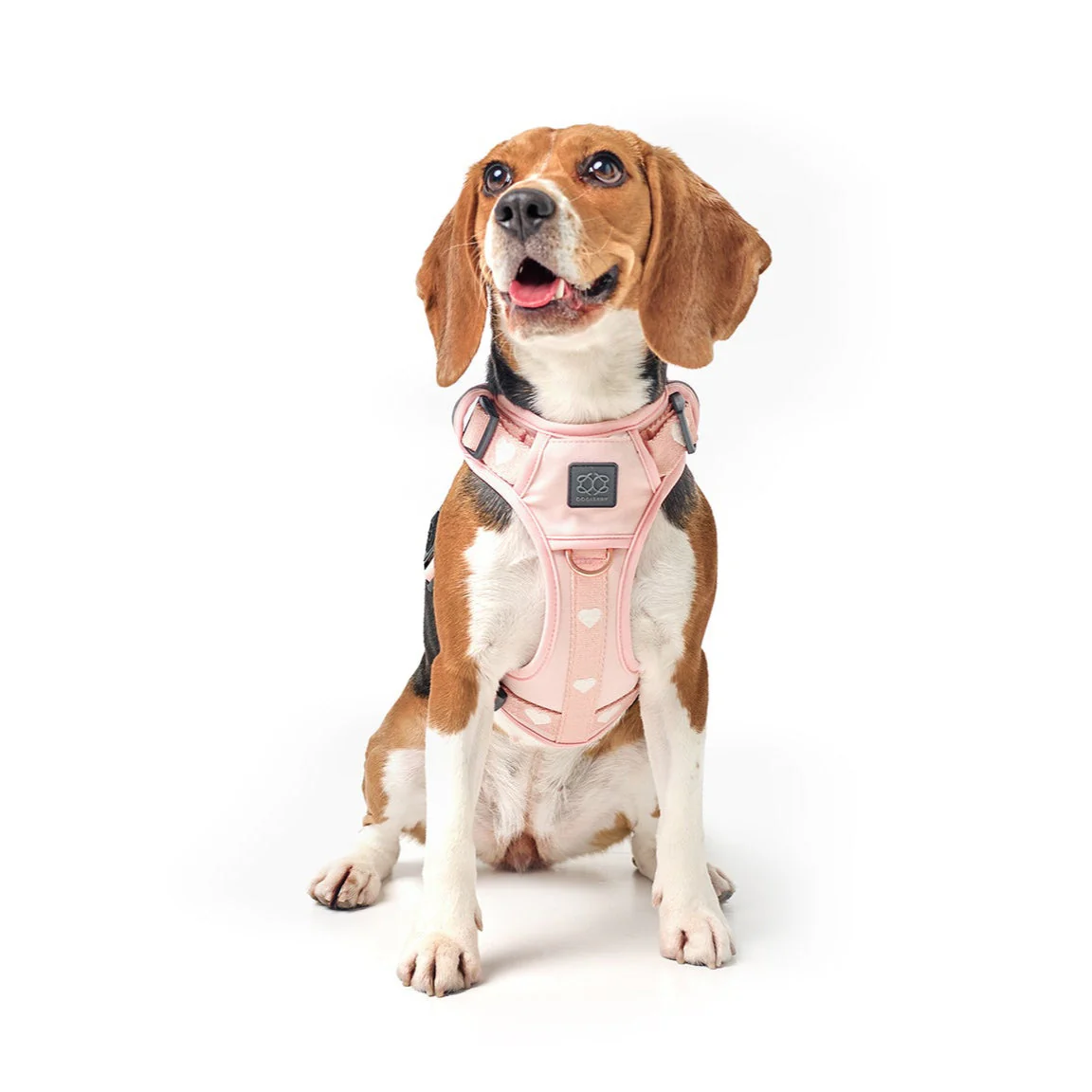 The NoMad Adjustable Luxe Harness - Sweetheart - Image 6