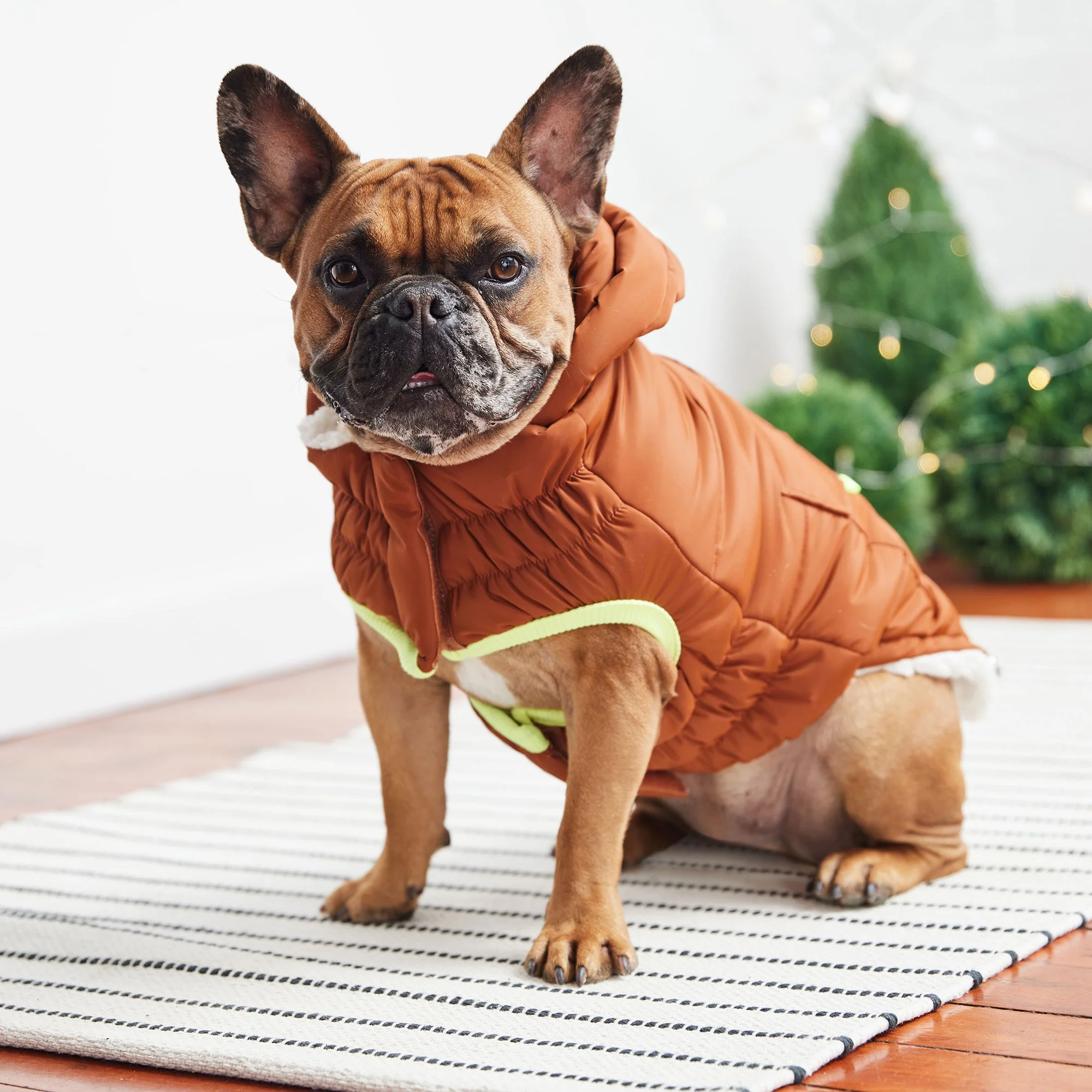 The Puff Parka - Hazel - Image 4