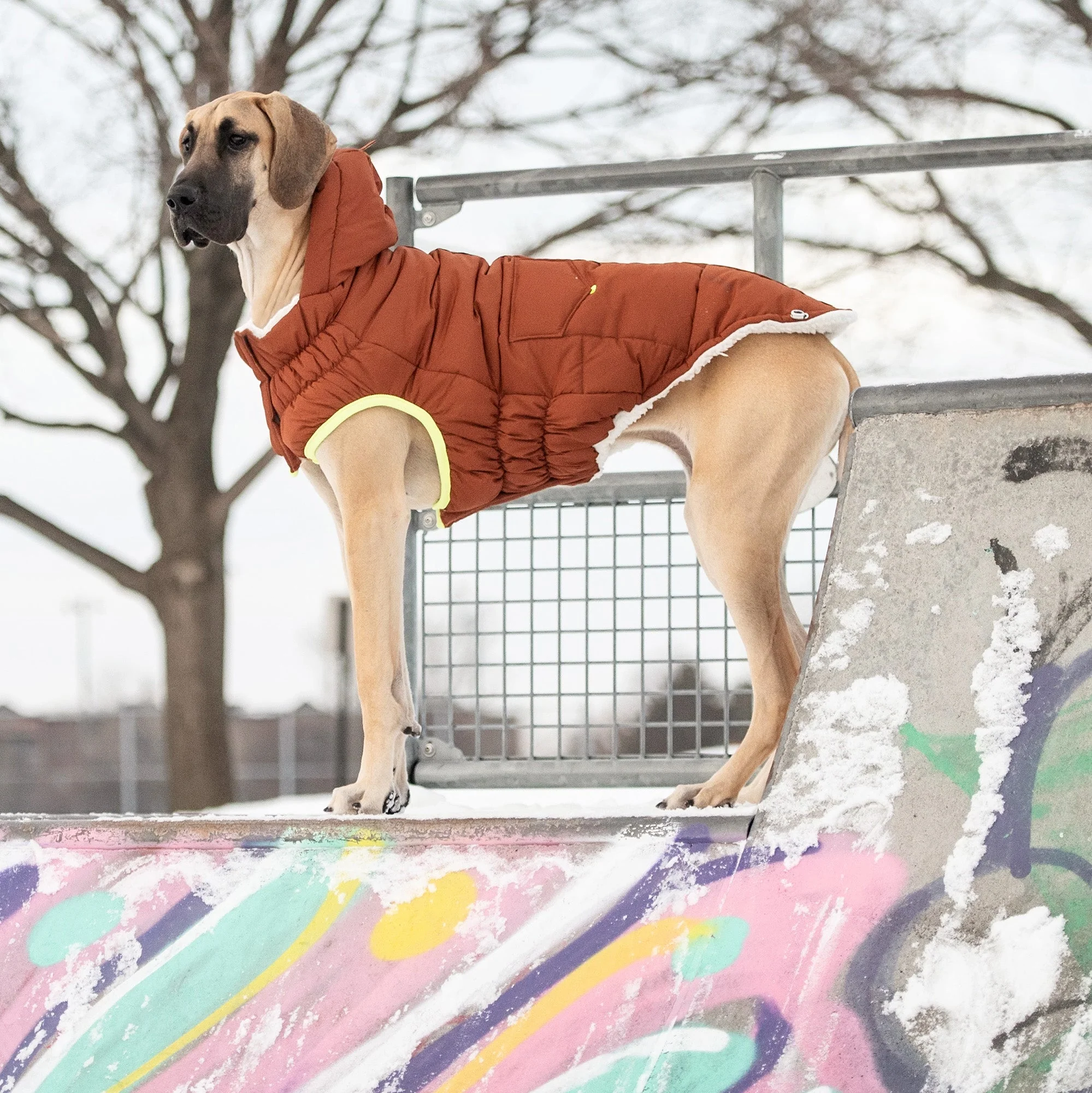 The Puff Parka - Hazel - Image 5