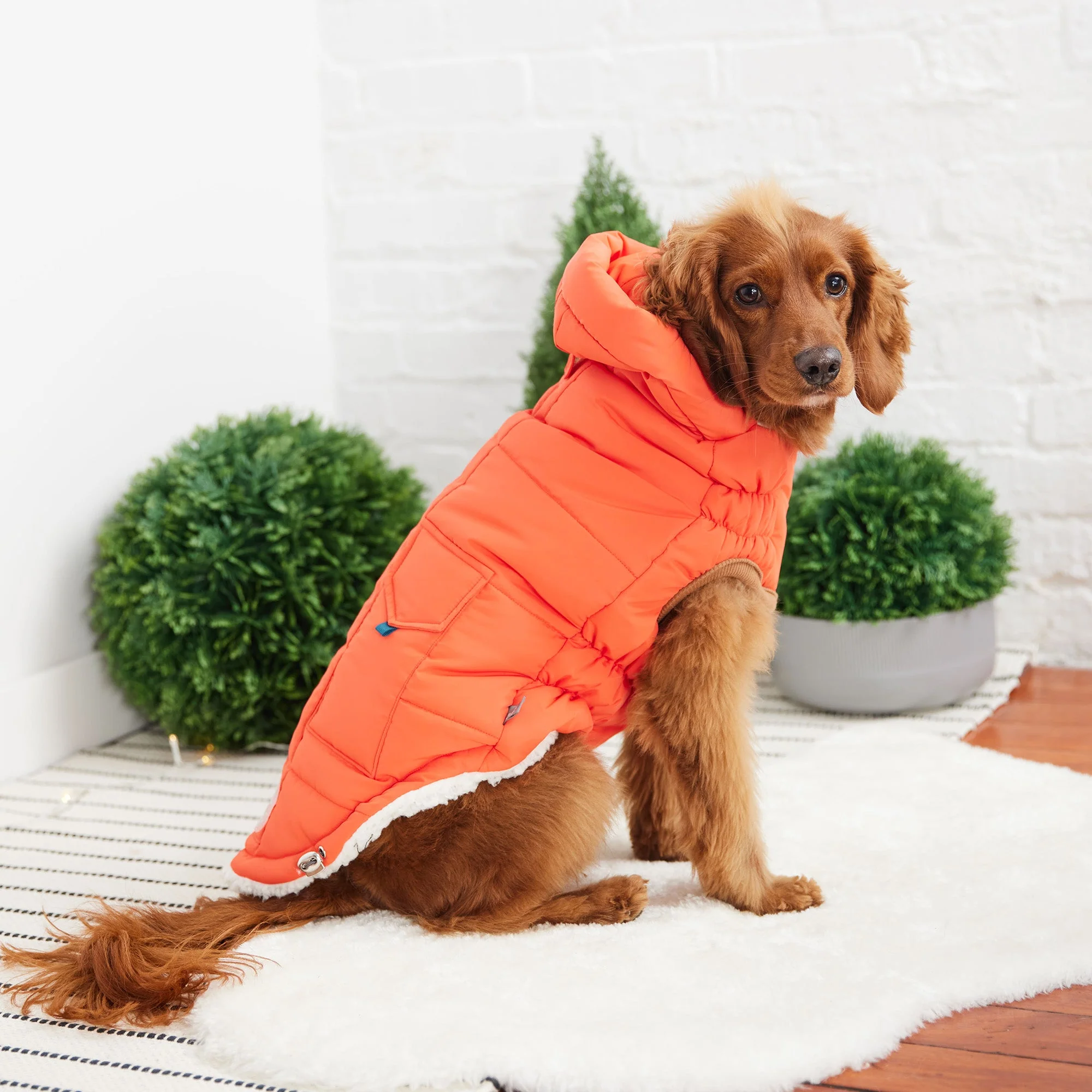 The Puff Parka - Orange - Image 4