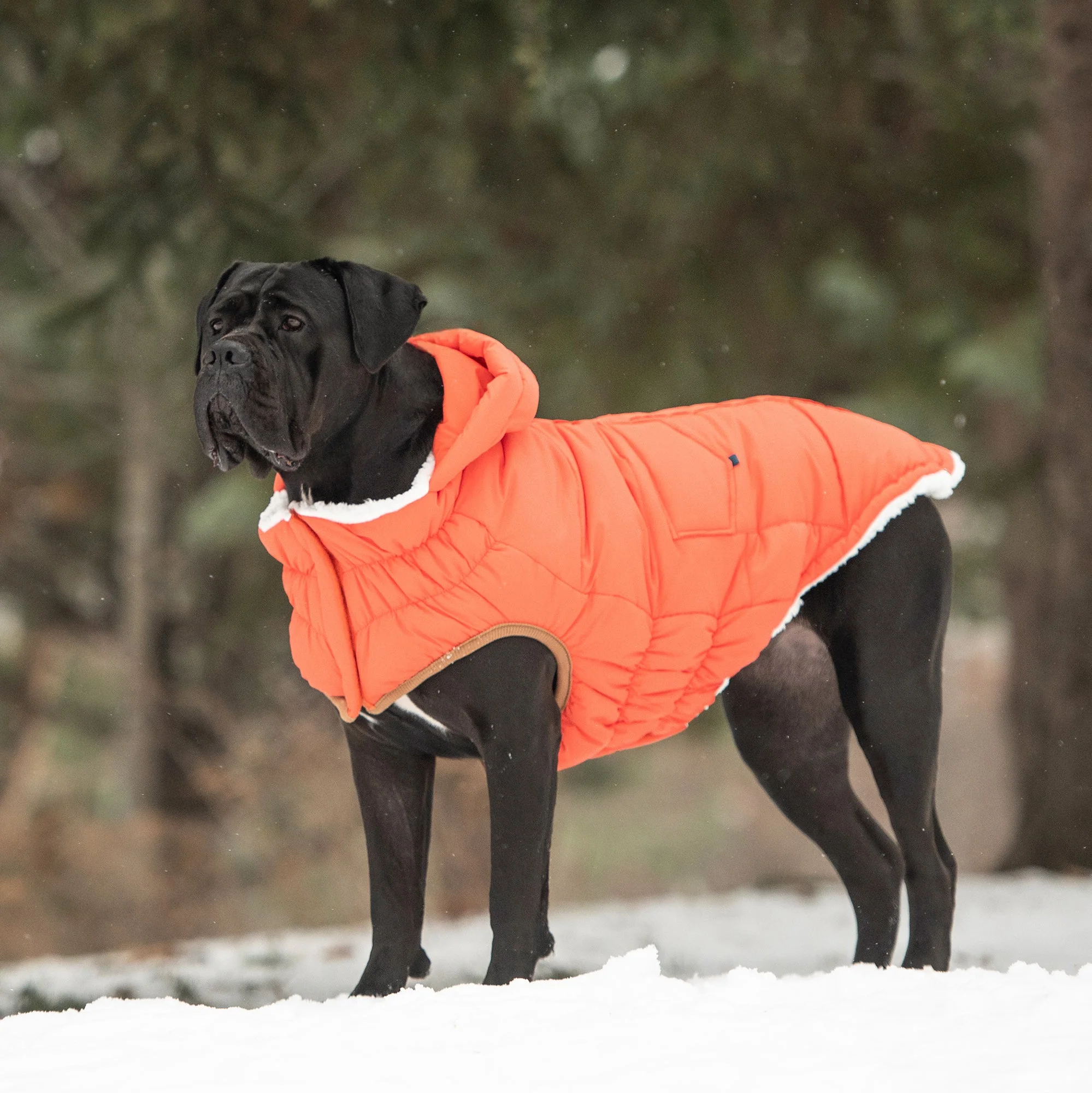 The Puff Parka - Orange - Image 5