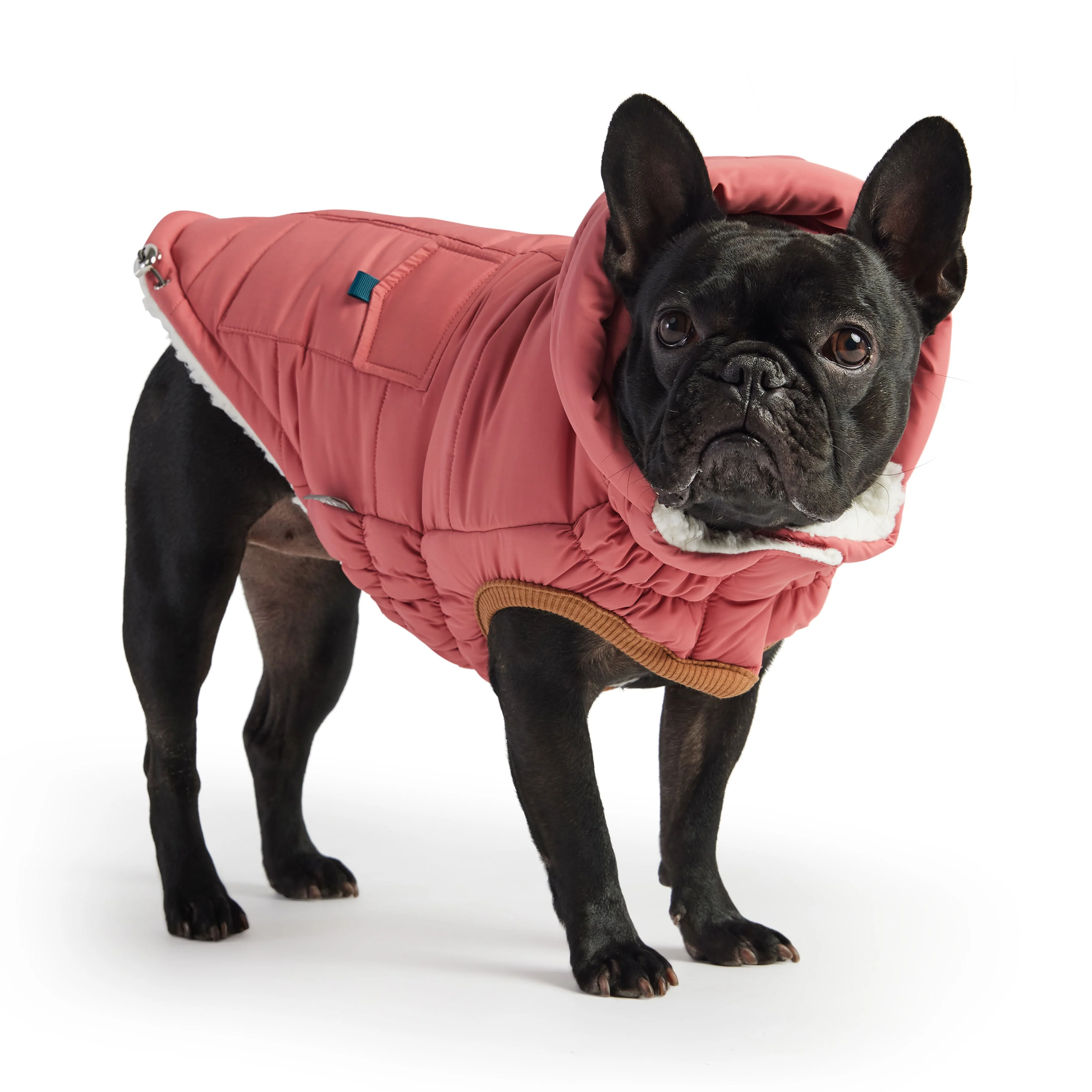 The Puff Parka - Pink - Image 2