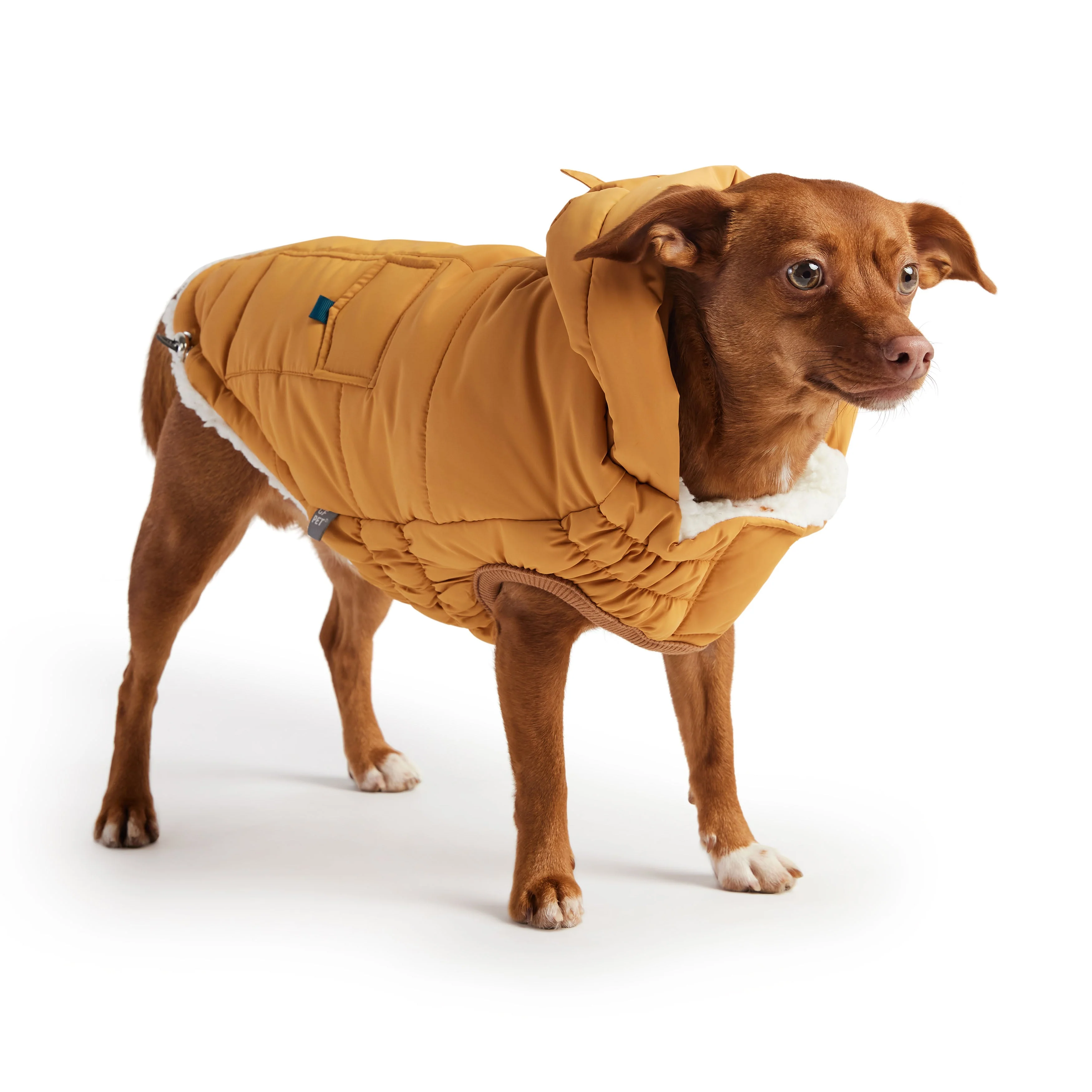 The Puff Parka - Yellow - Image 2