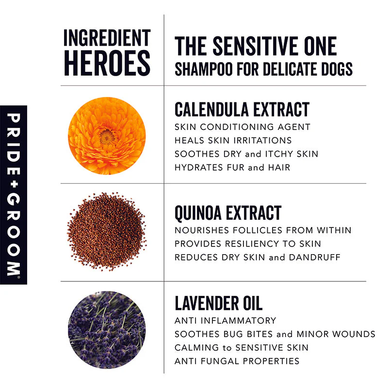 THE SENSITIVE ONE Dog Shampoo - Image 5