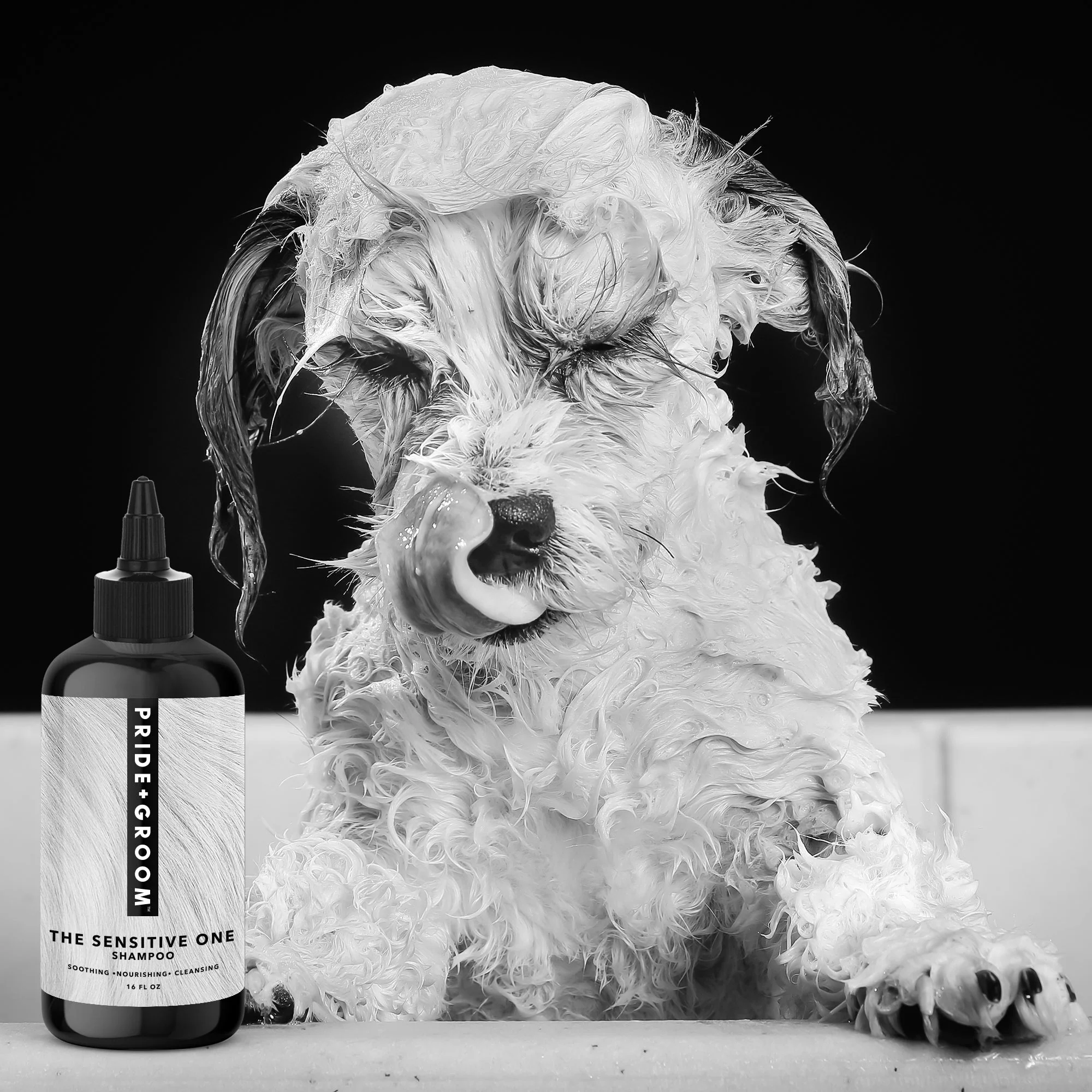 THE SENSITIVE ONE Dog Shampoo - Image 6