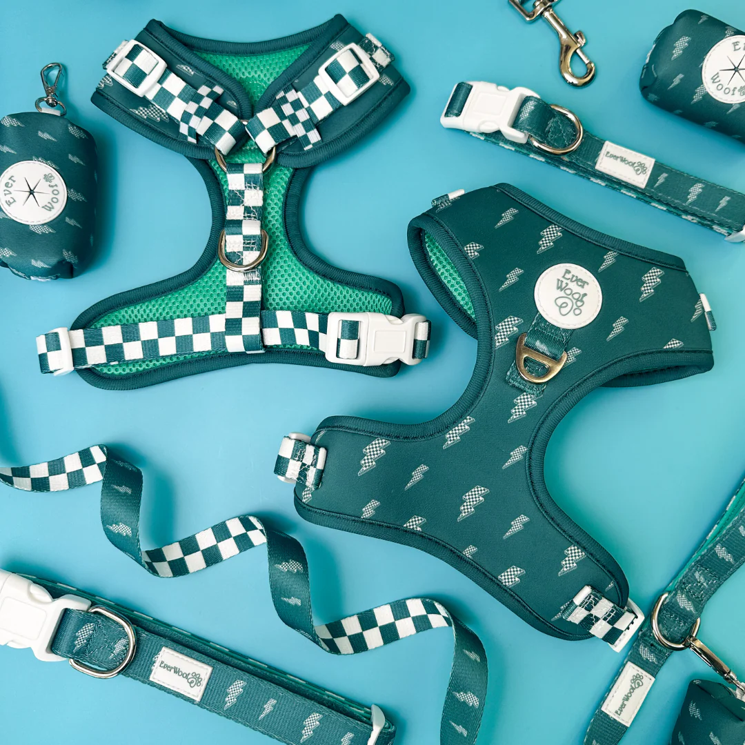 Thunderstruck Adjustable Harness - Image 3