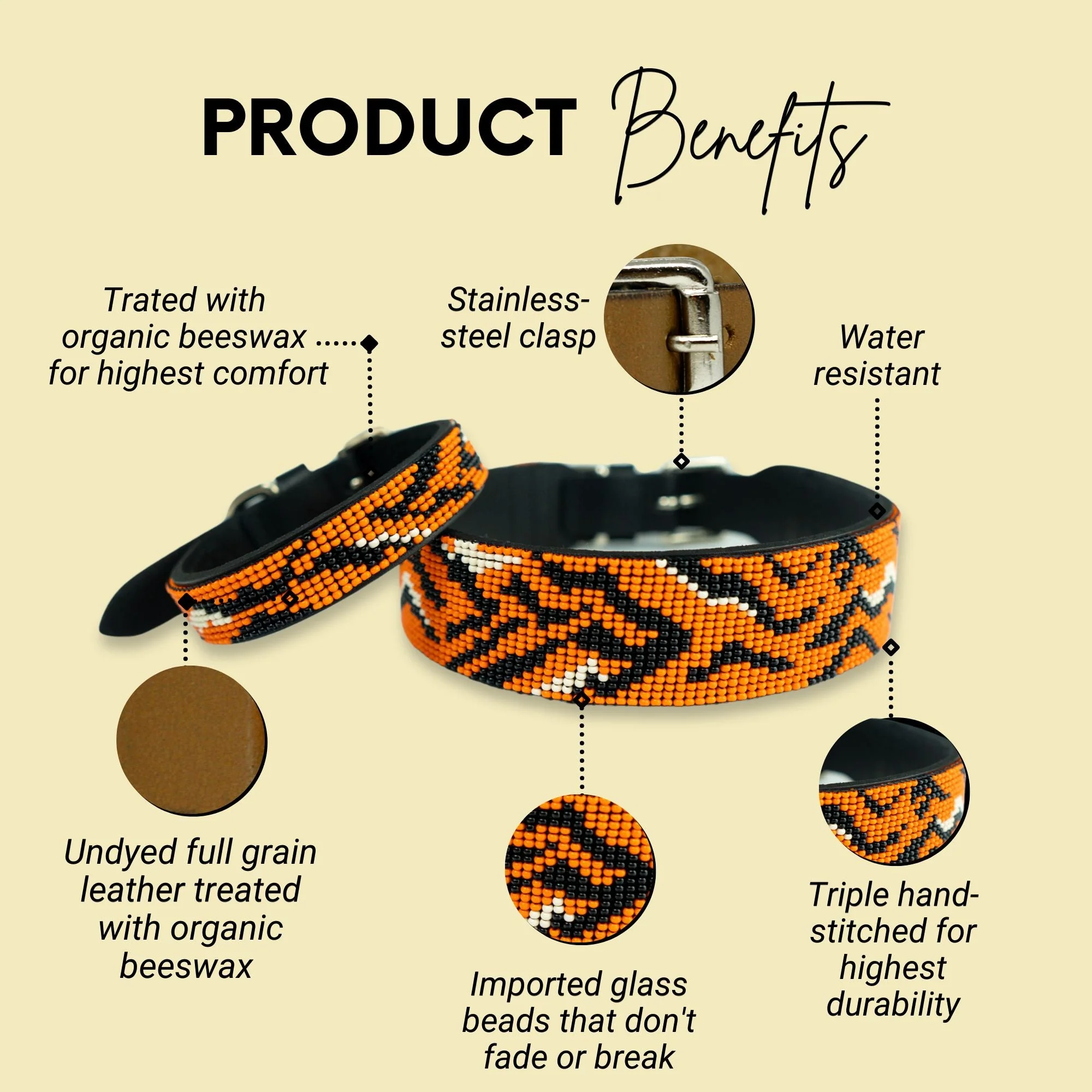 Tiger Sambboho dog collar (animal print collection) - Image 2