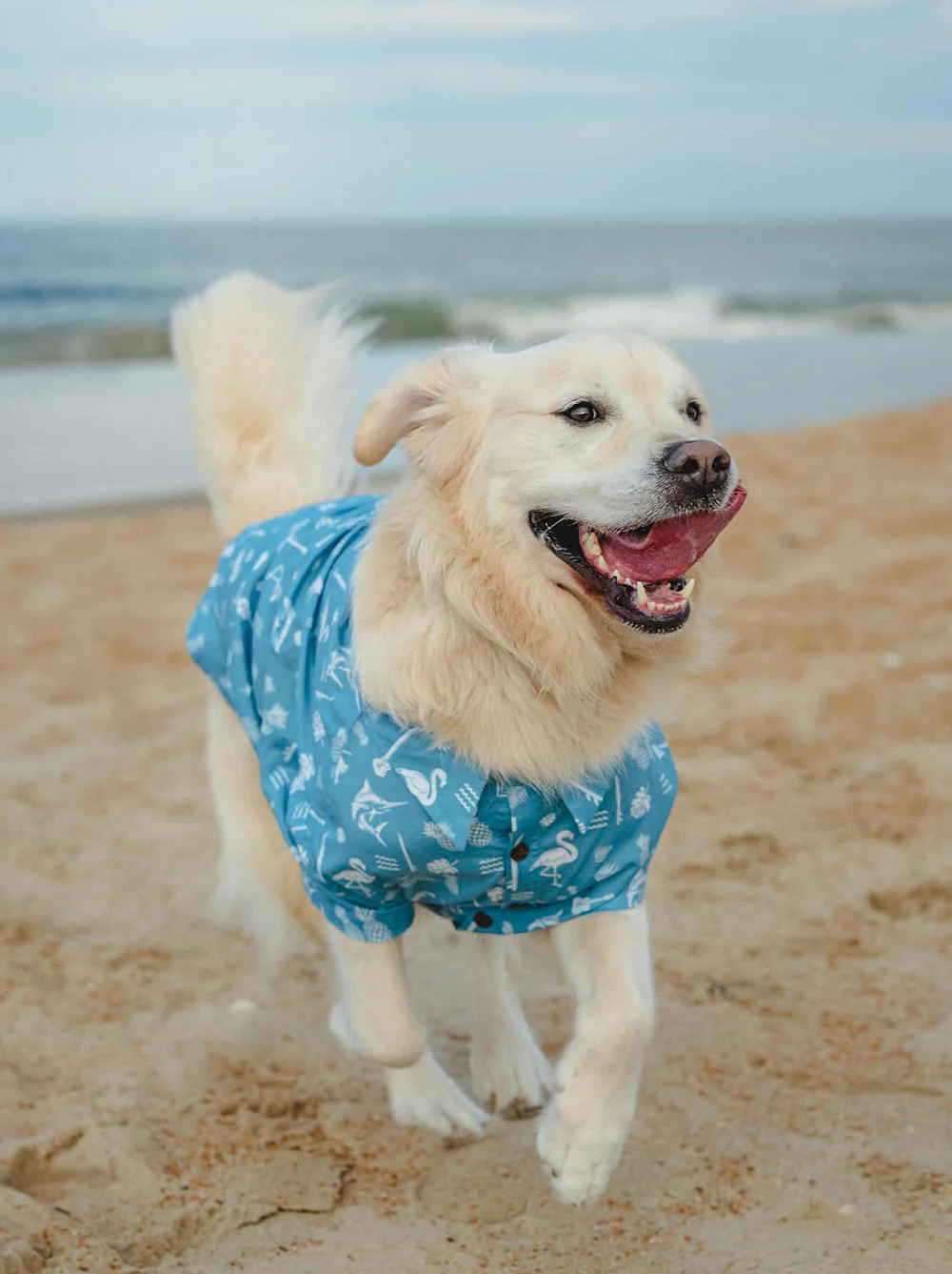 Tiki Time BBQ Shirt - Image 2