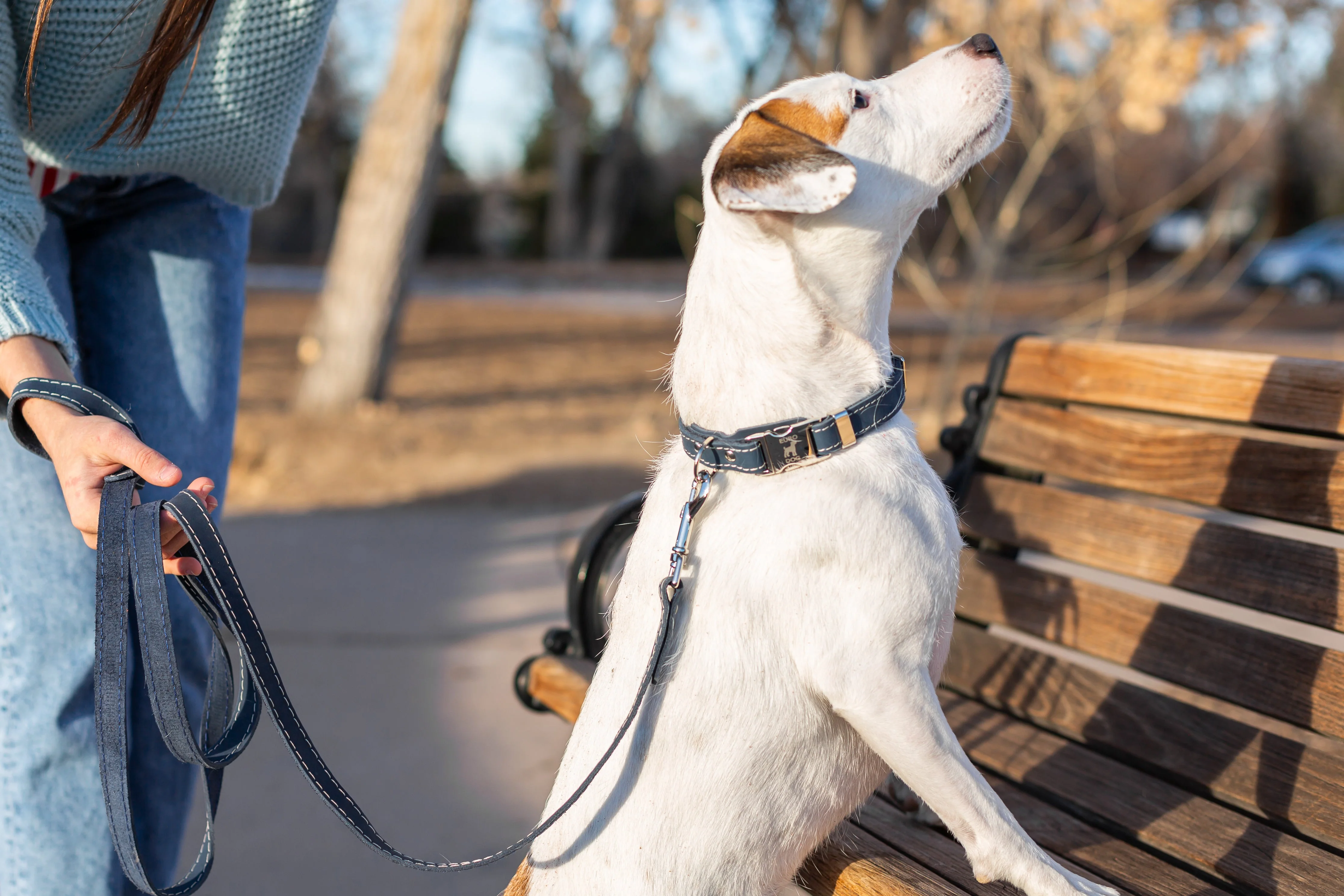 Pro Line Hunting Blue Jeans Leather Leash - Image 2