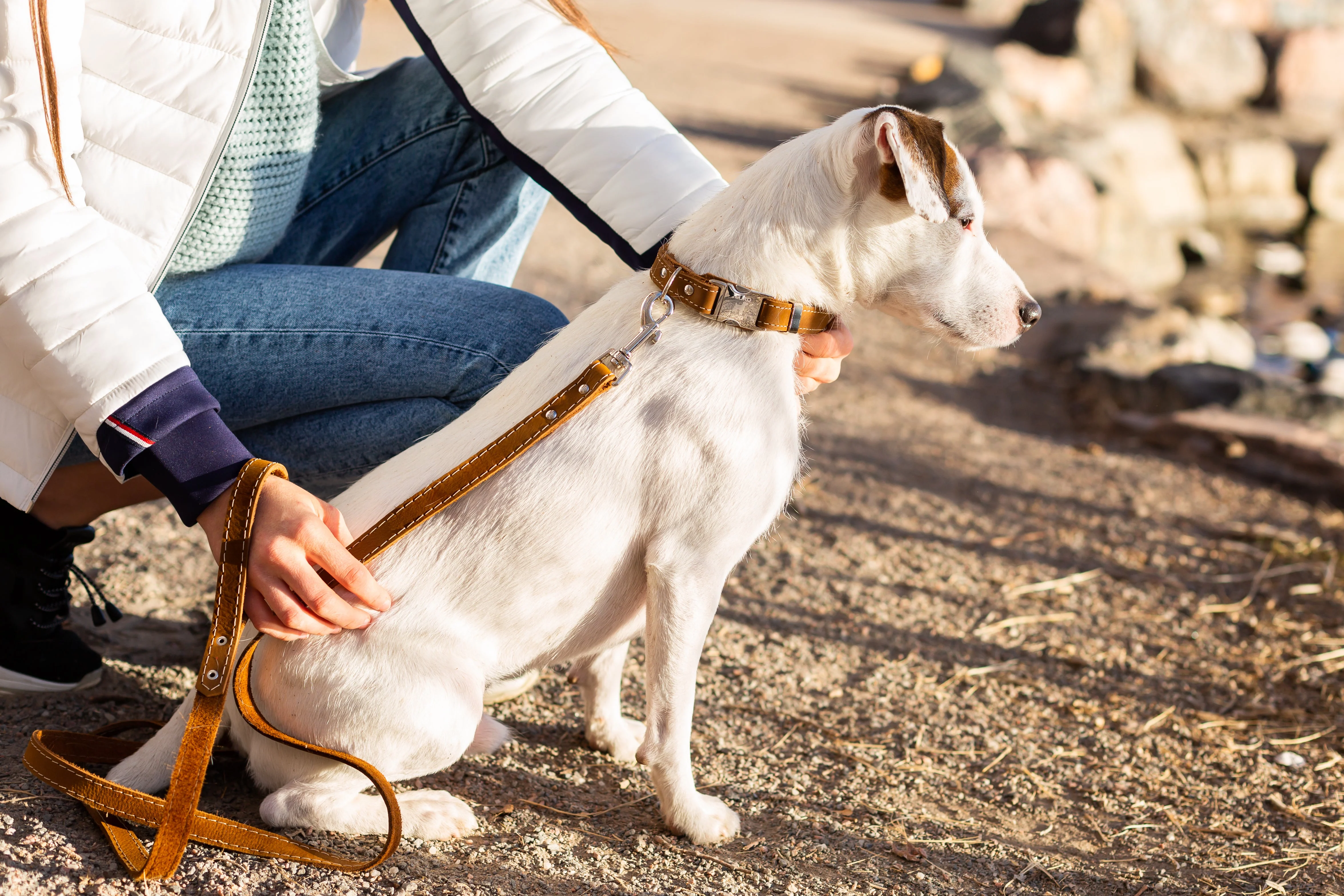 Traditional Earth Brown Leather Dog Leash - Image 2