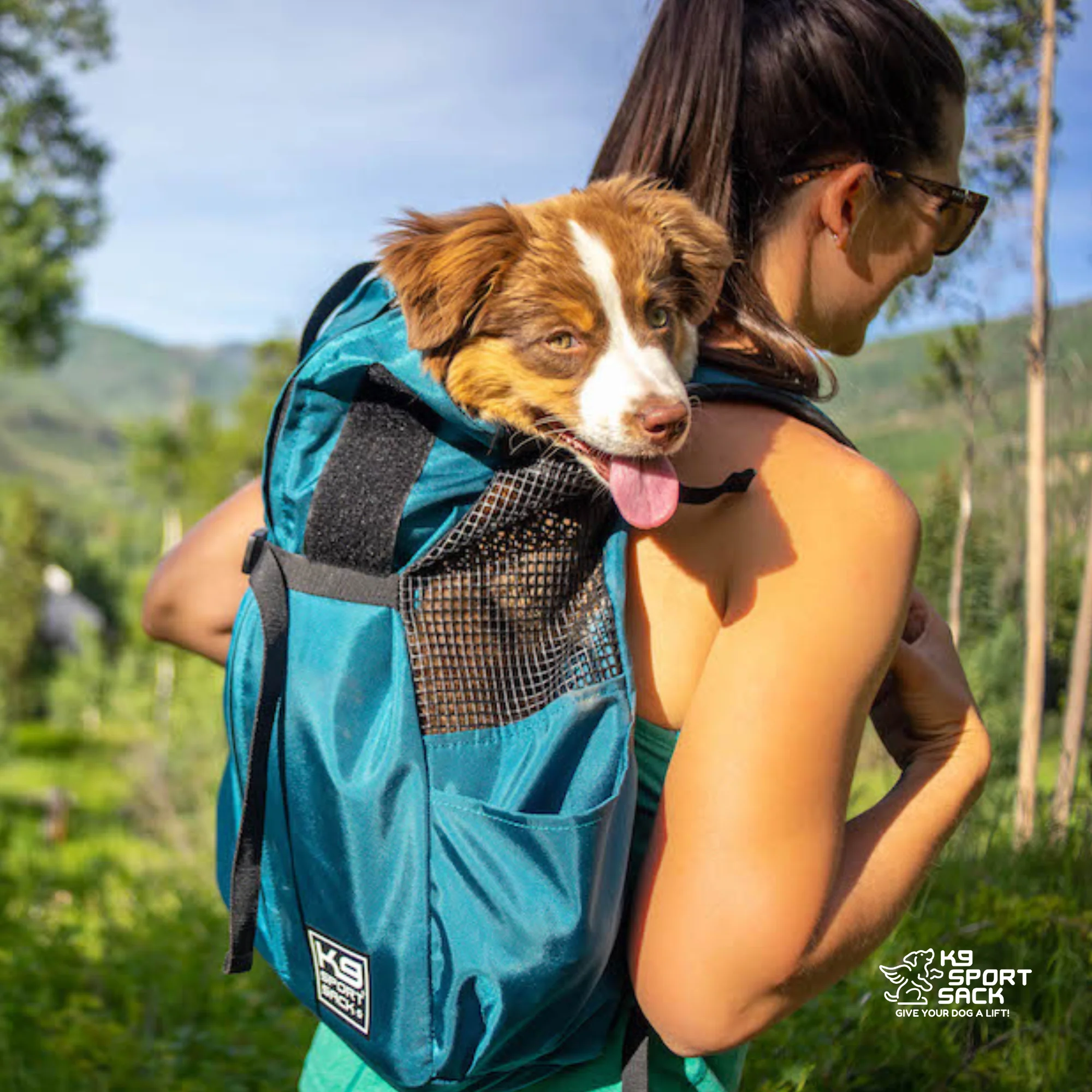 Trainer | Puppy & Small Dog Carrier - Image 14