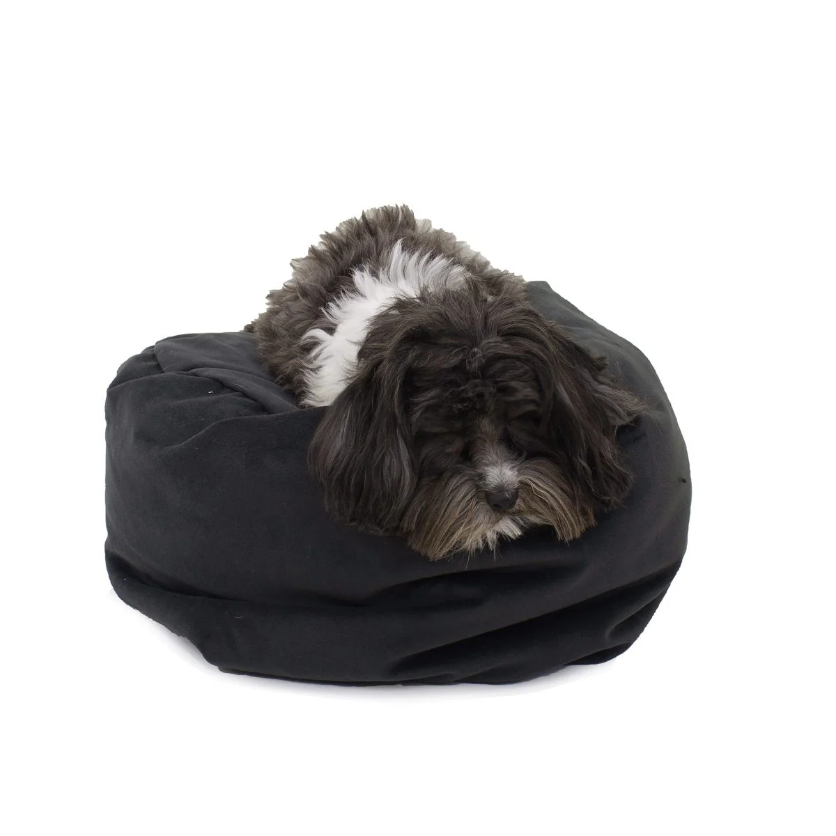 Transformer Converting Dog and Cat Bed - Image 9