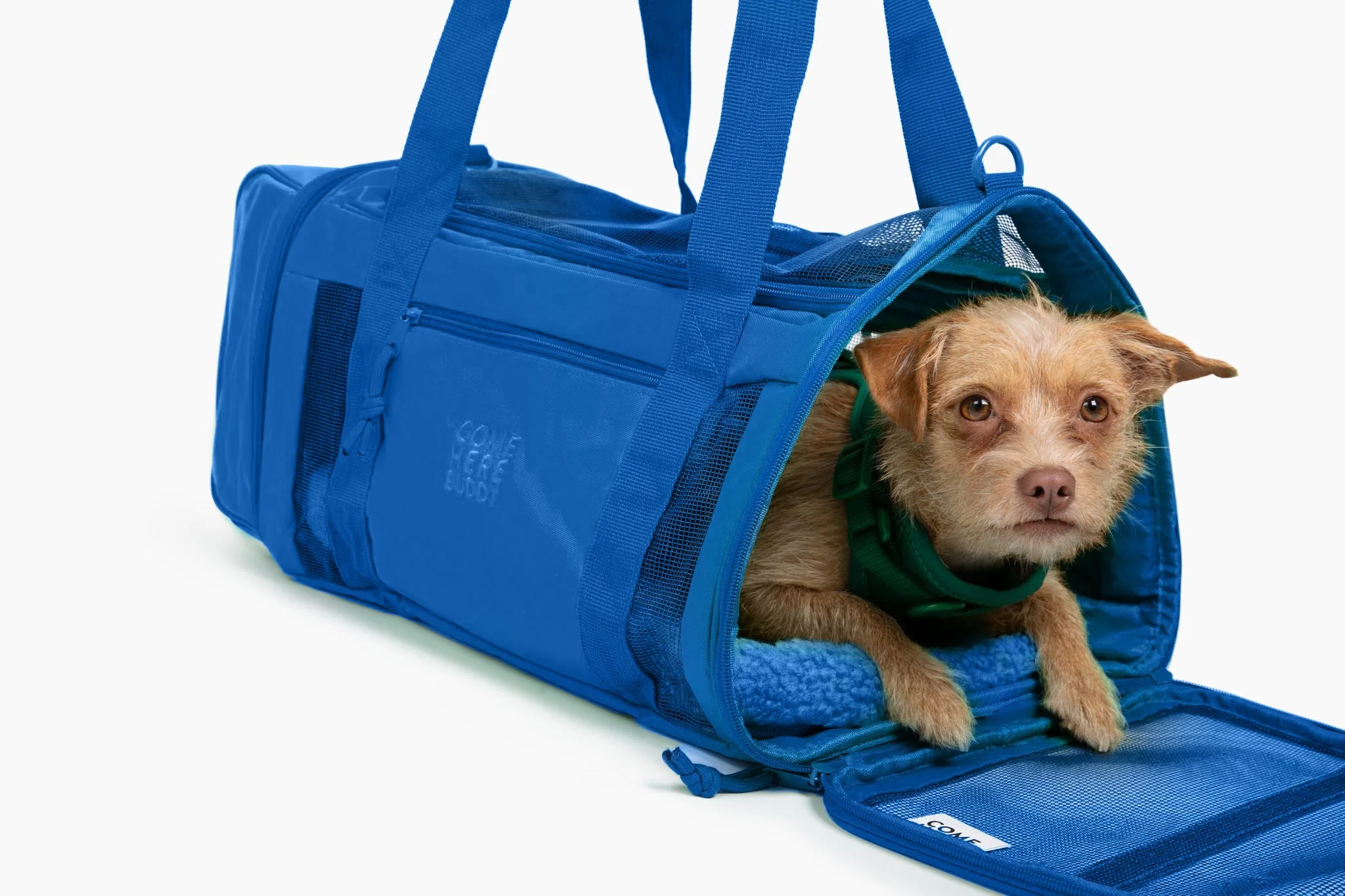 Travel Buddy - Pet Carrier - Image 10