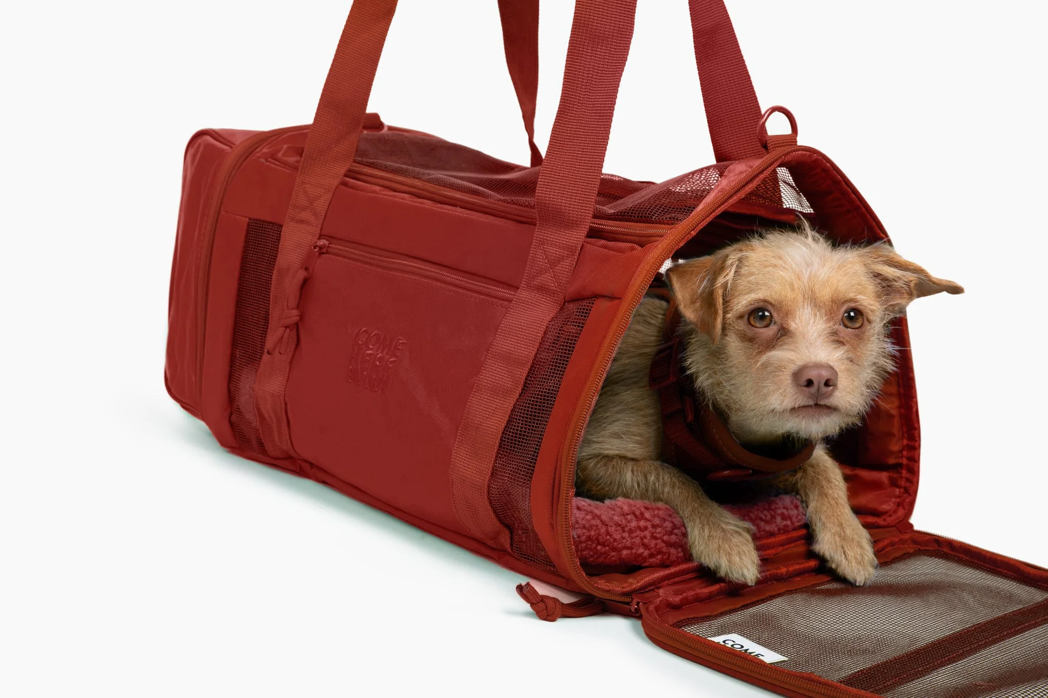 Travel Buddy - Pet Carrier - Image 19