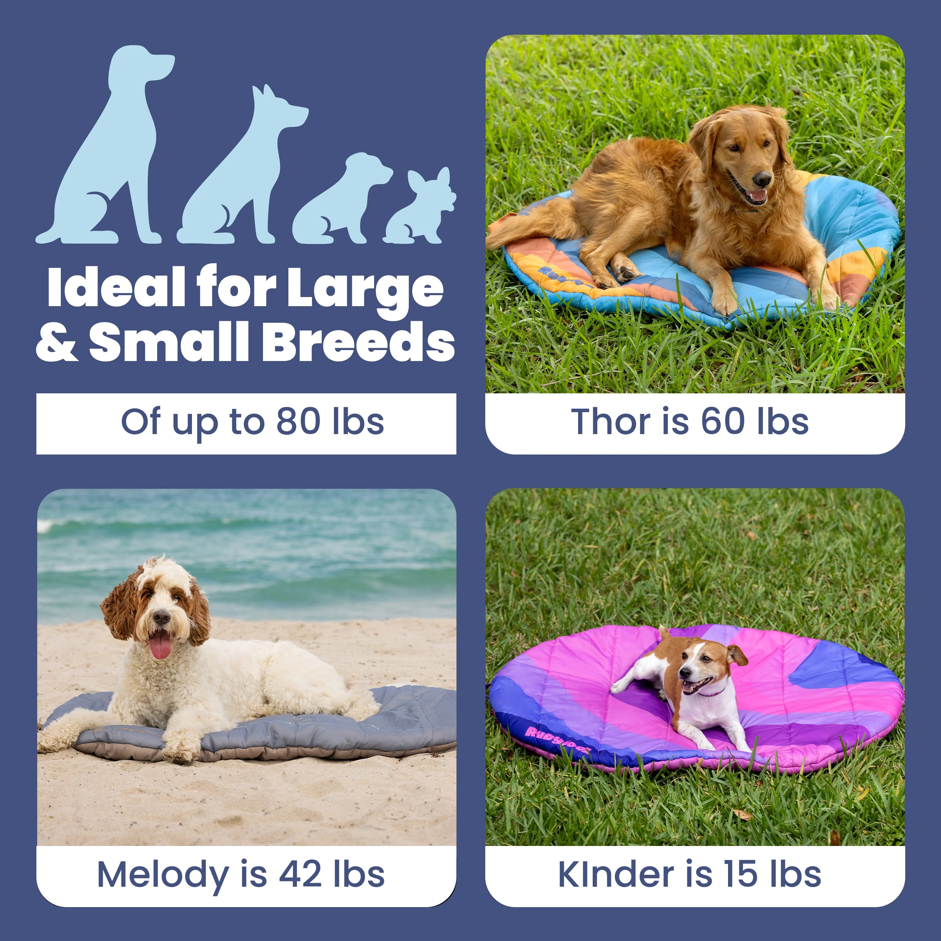 Travel Dog Bed - Foldable & Packable for Travel, Road Trip, Camping - Image 5