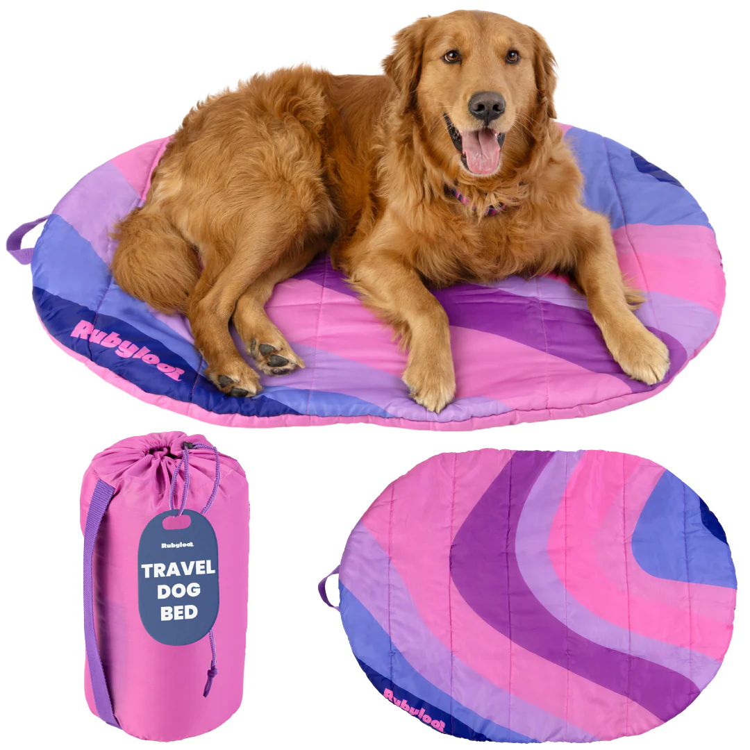 Travel Dog Bed - Foldable & Packable for Travel, Road Trip, Camping - Image 8