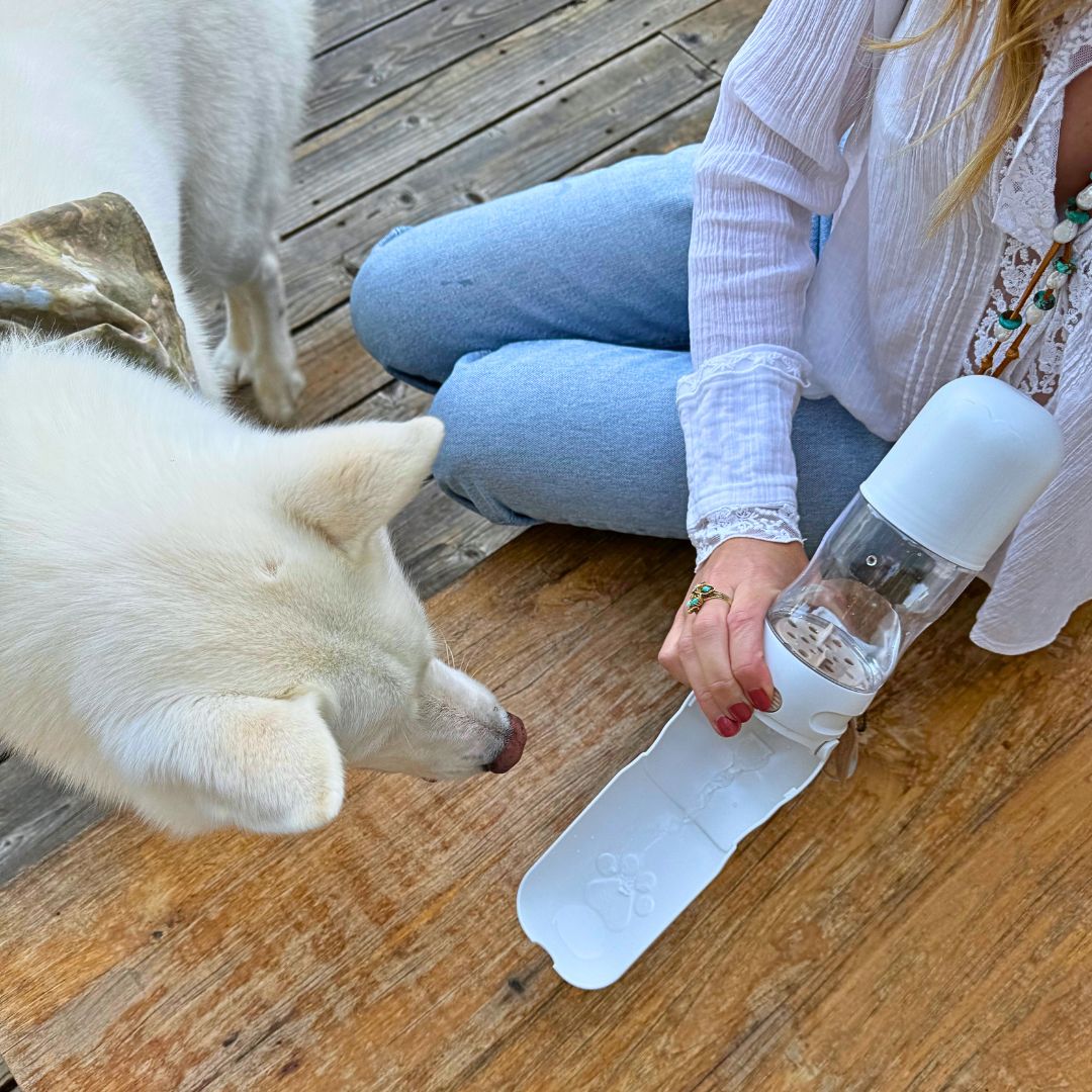 Tilley + Me Travel Dog Water Bottle with Treat Holder – Leakproof & BPA-Free 350mL - Image 12