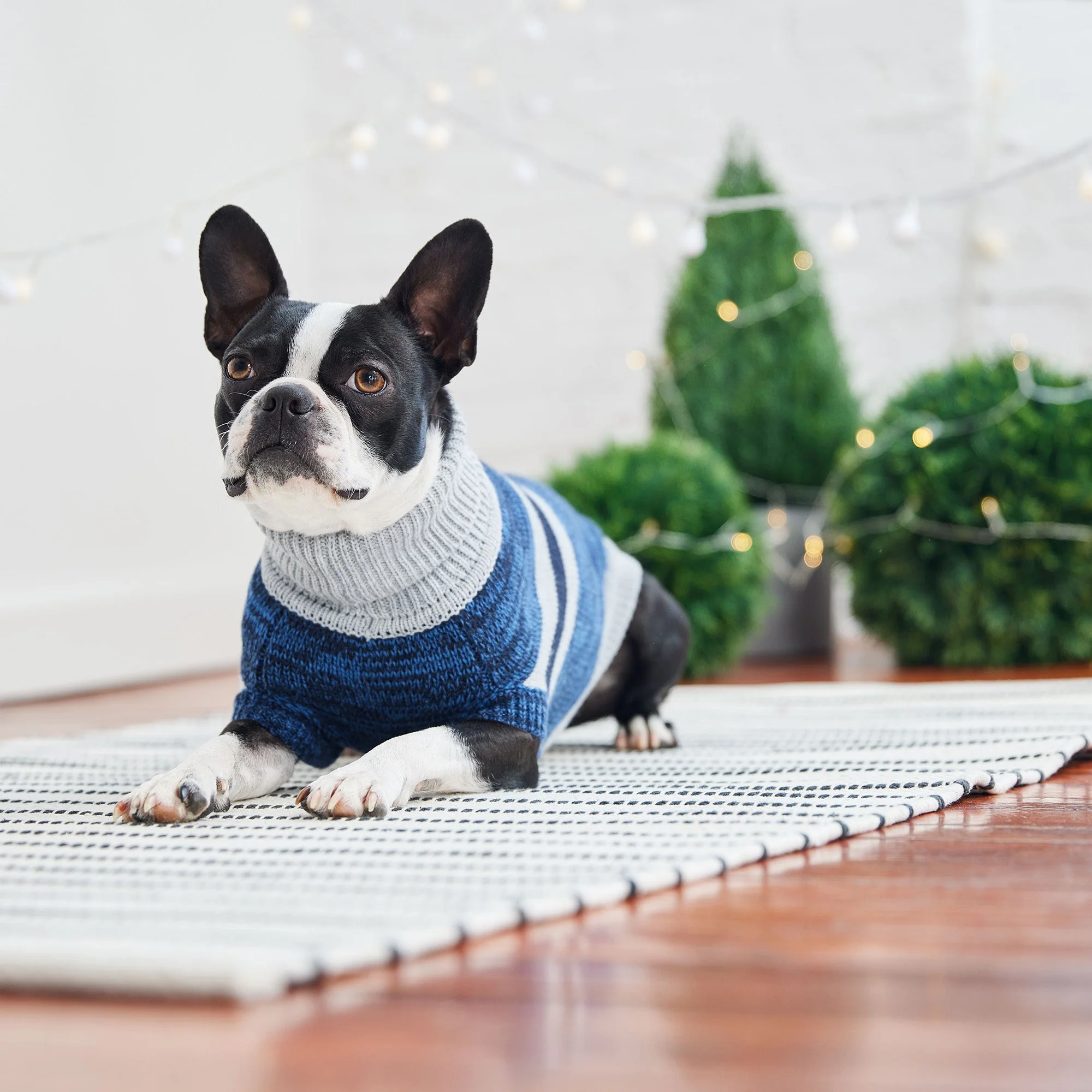 Trekking Sweater - Blue - Image 3