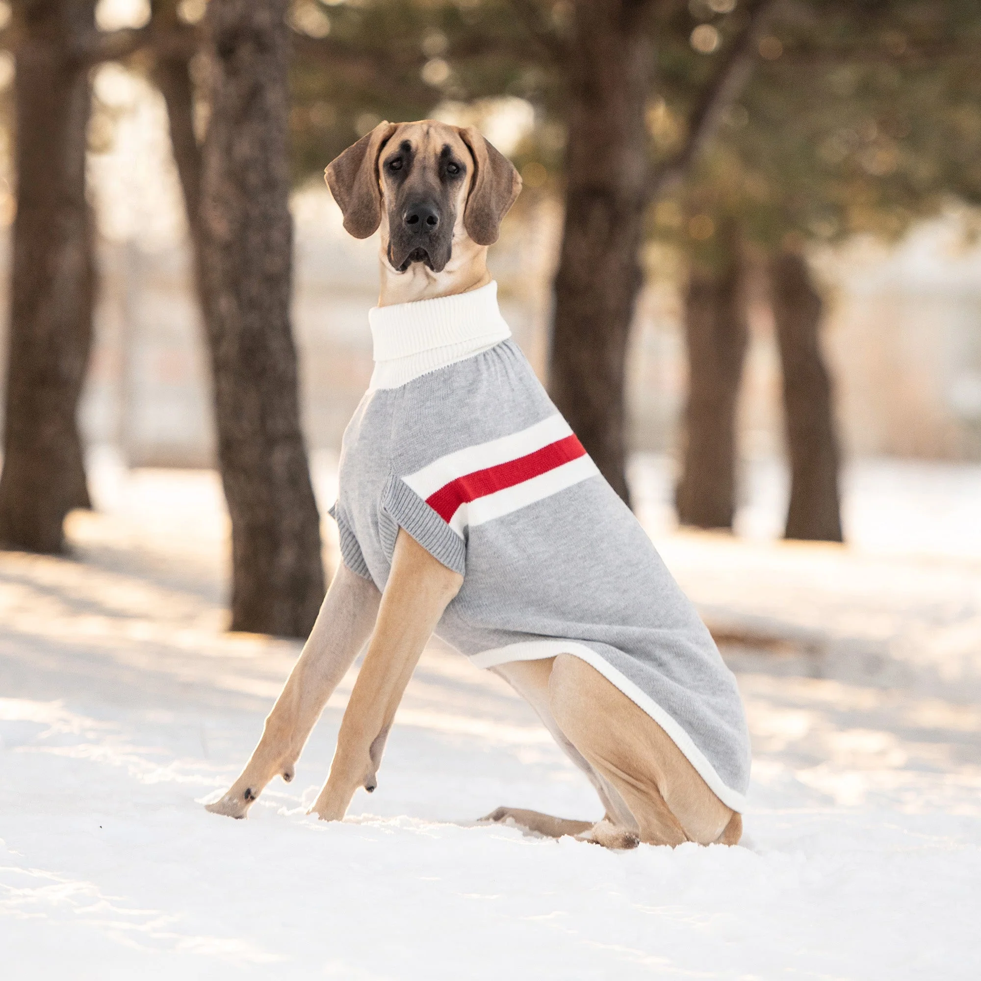 Trekking Sweater - Grey Mix - Image 4