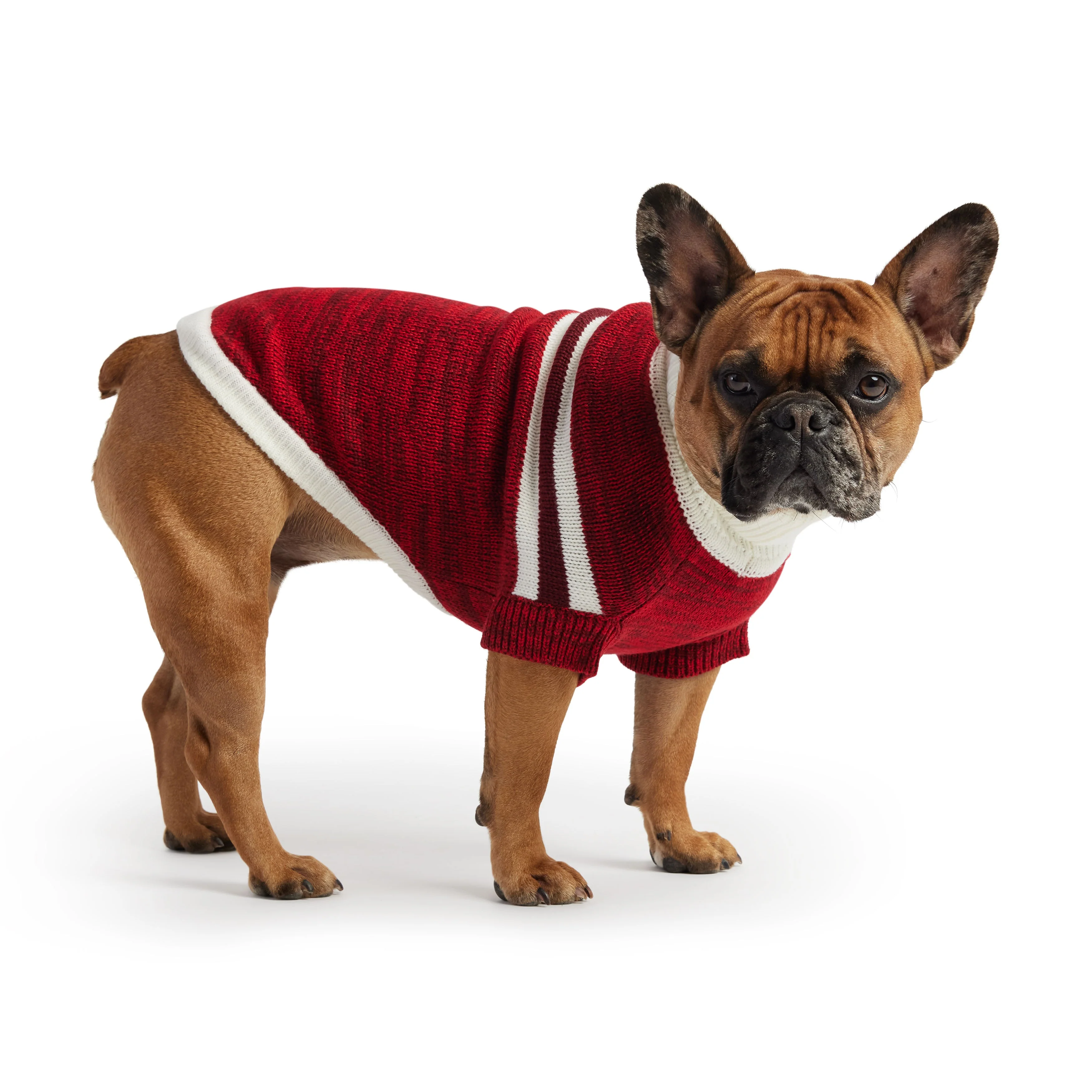 Trekking Sweater - Red - Image 2